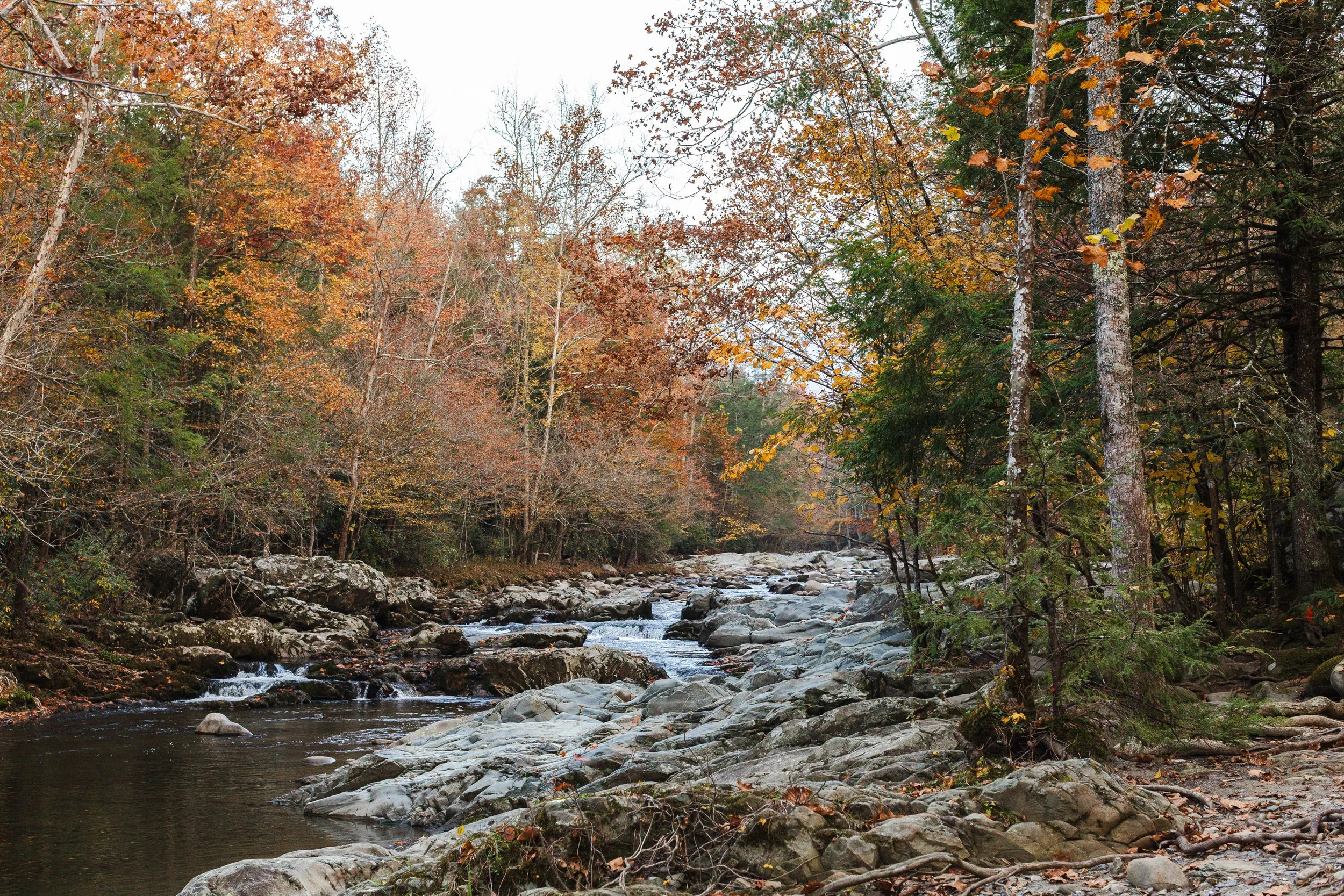 180819-10272024-4218 (2).jpg