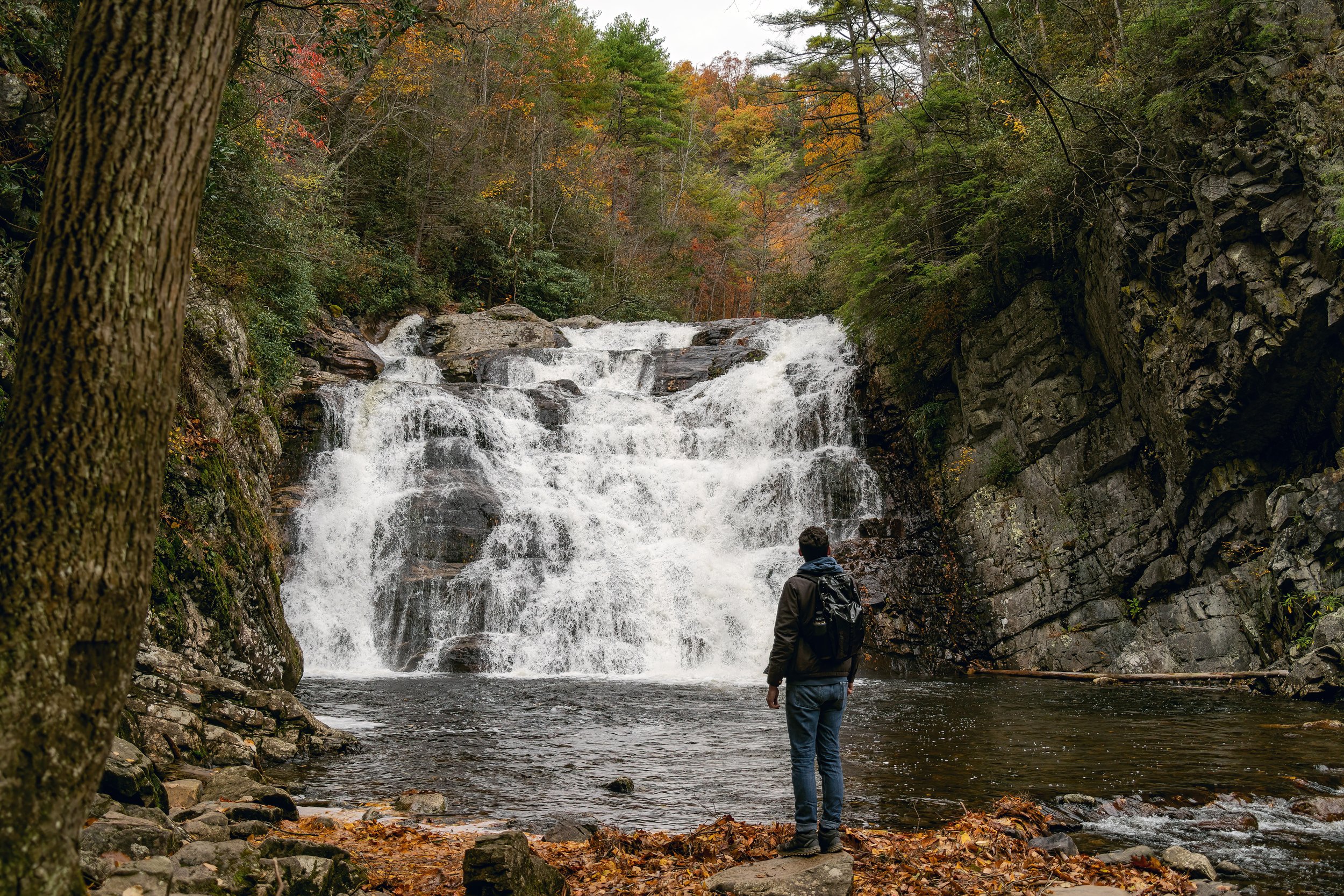 Laurel-Falls-Tennessee-Appalachian-Mountains-Waterfall-Hiking-Nature-Outdoors-Portrait-Inca-Photography-04314.jpg