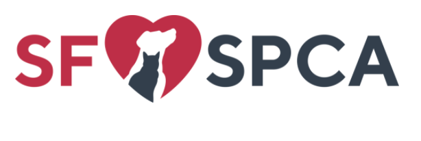 Screen Shot 2022-04-14 at 7.22.17 PM.png