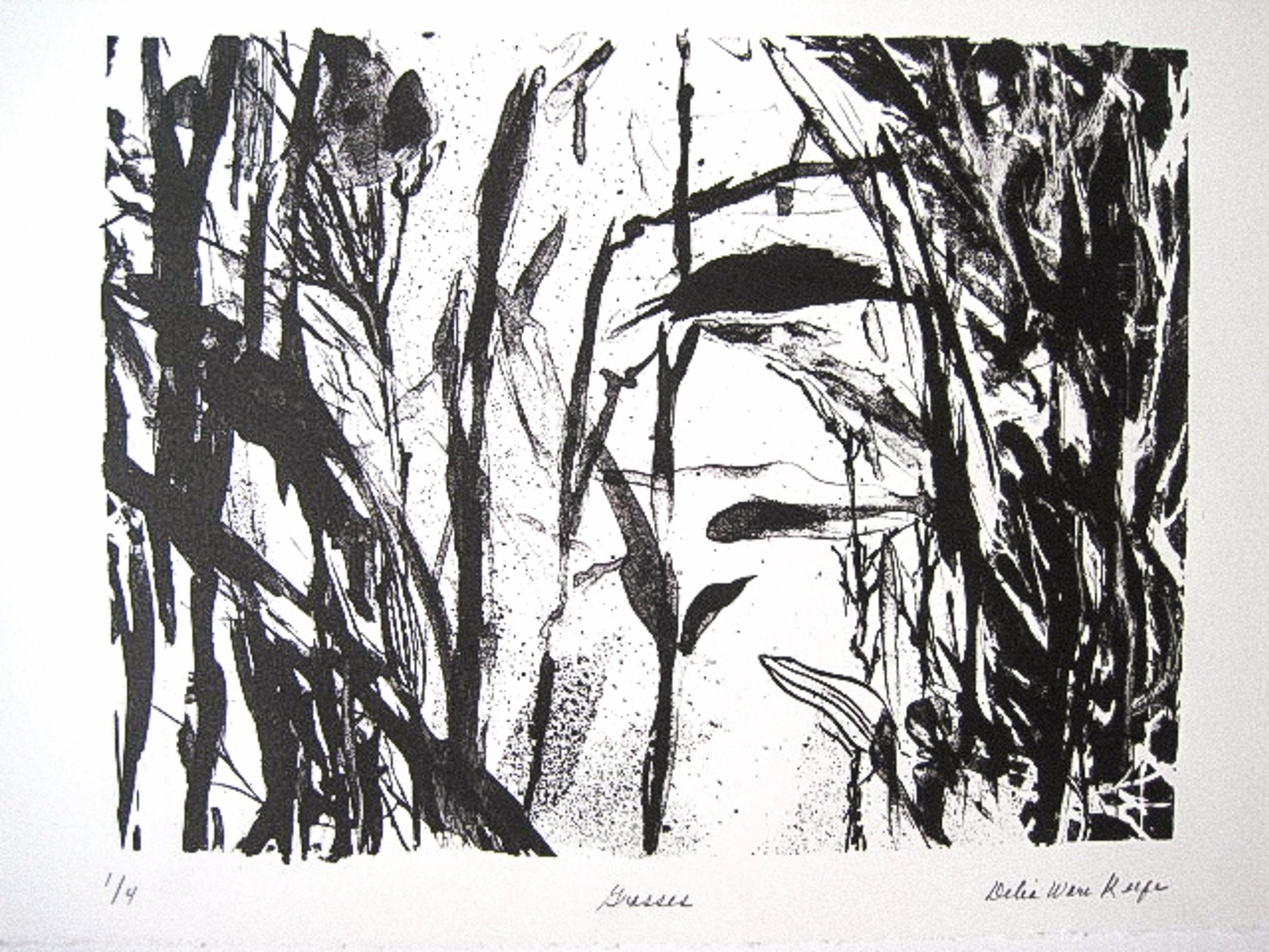 Grasses, 2000. Lithograph, 11 x 15 inches.