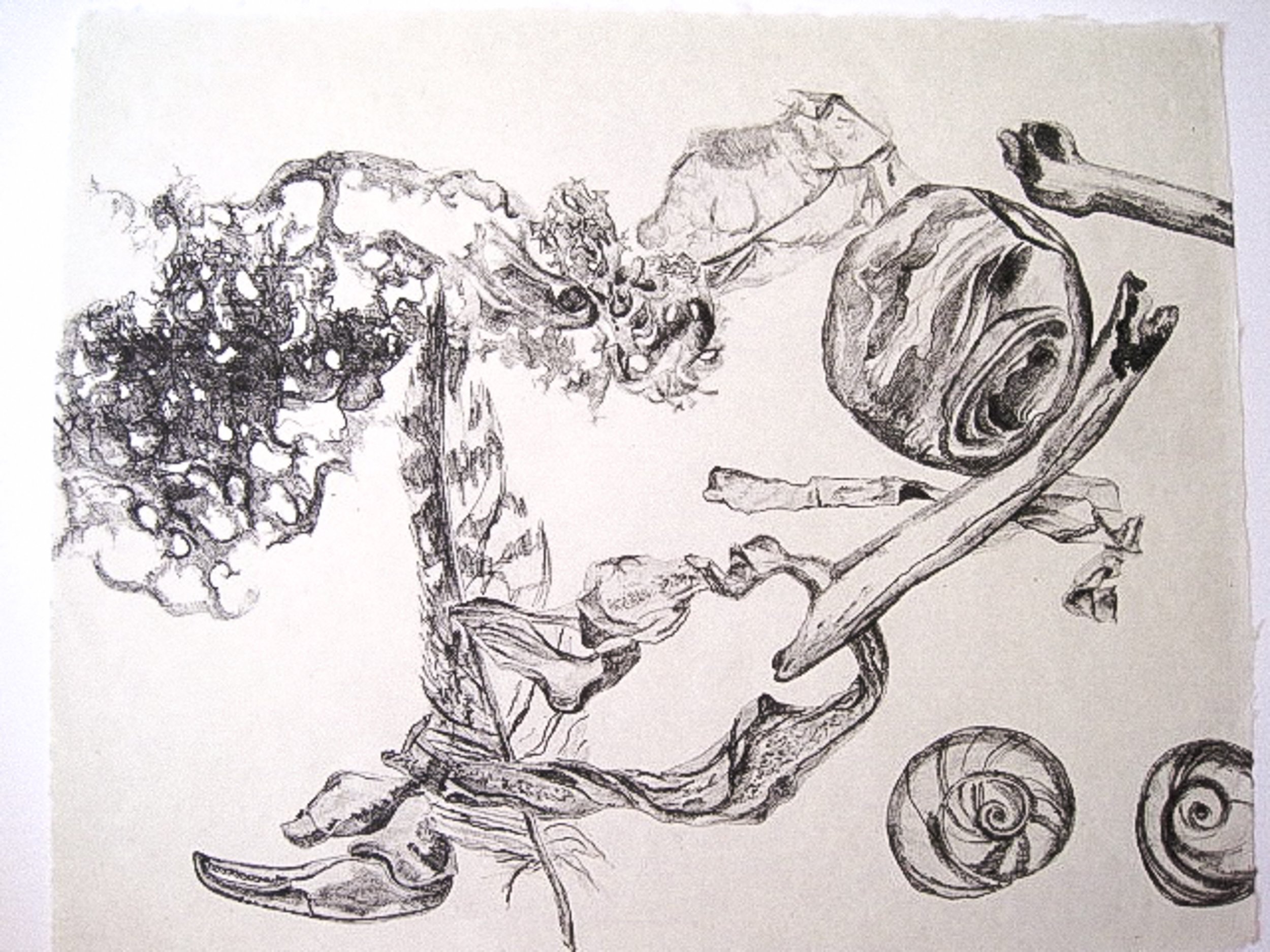 Beached, 2008.
Lithograph, 17 x 20 3/4 inches.