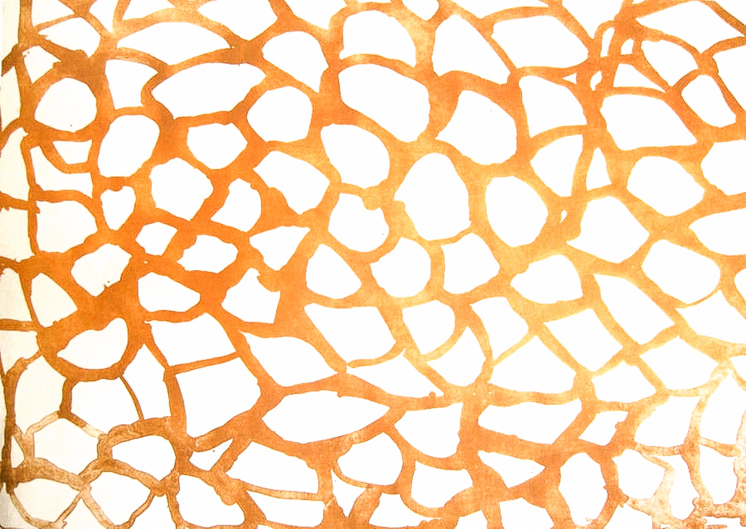 Reflection, 2009. Lithograph, 20 x 30 inches.