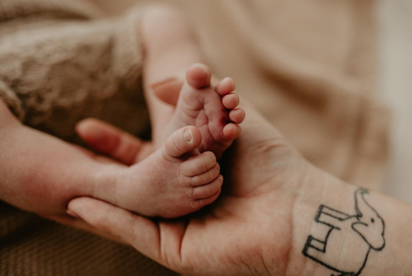 baby feet are just the sweetest aren&rsquo;t they 👣✨
.
.
#twowildflowersphotography #melbournefamilyphotographer #melbournenewbornphotographer #newbornphotographermelbourne #newborn #newbornboy #newbornphotography #newbornphotographer #newbornbaby #