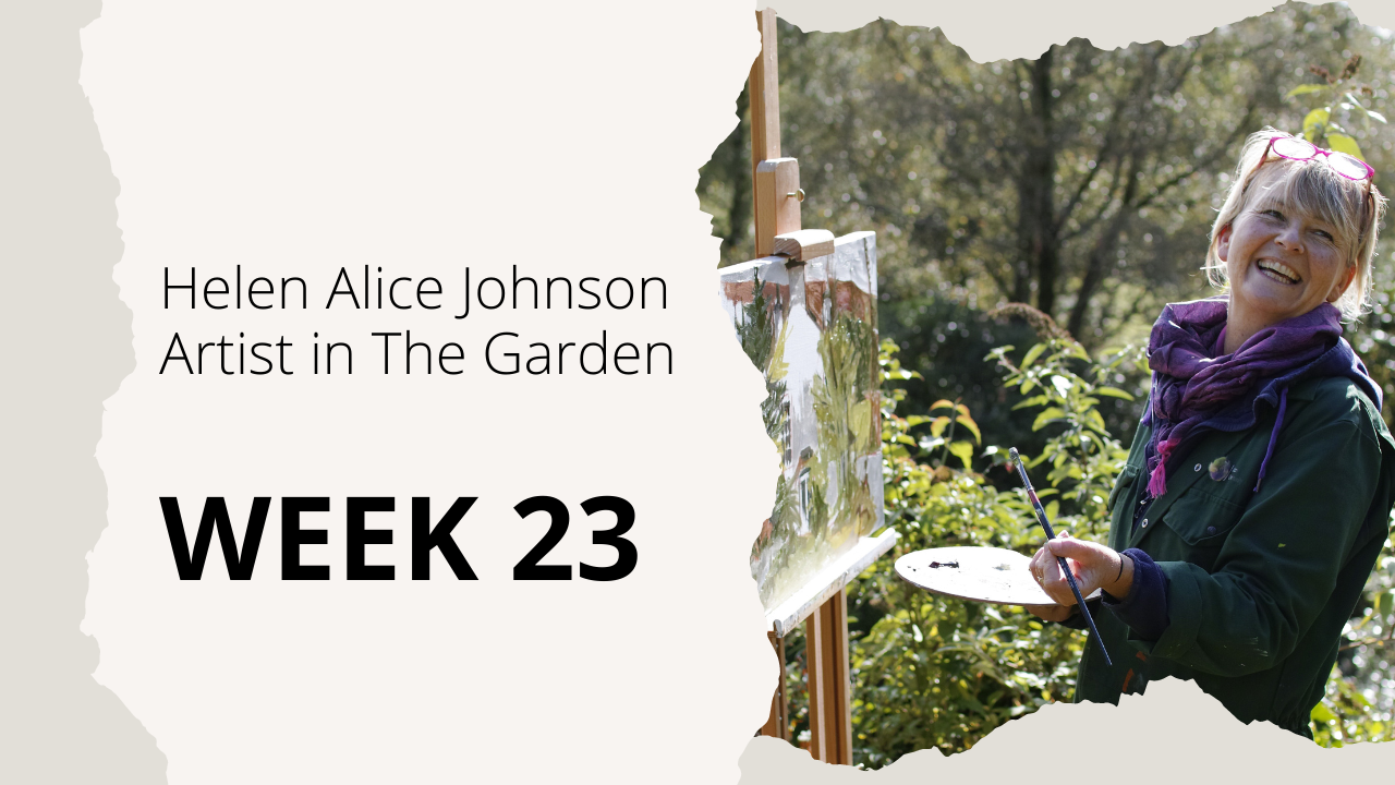 Week 23: Lucie’s Garden