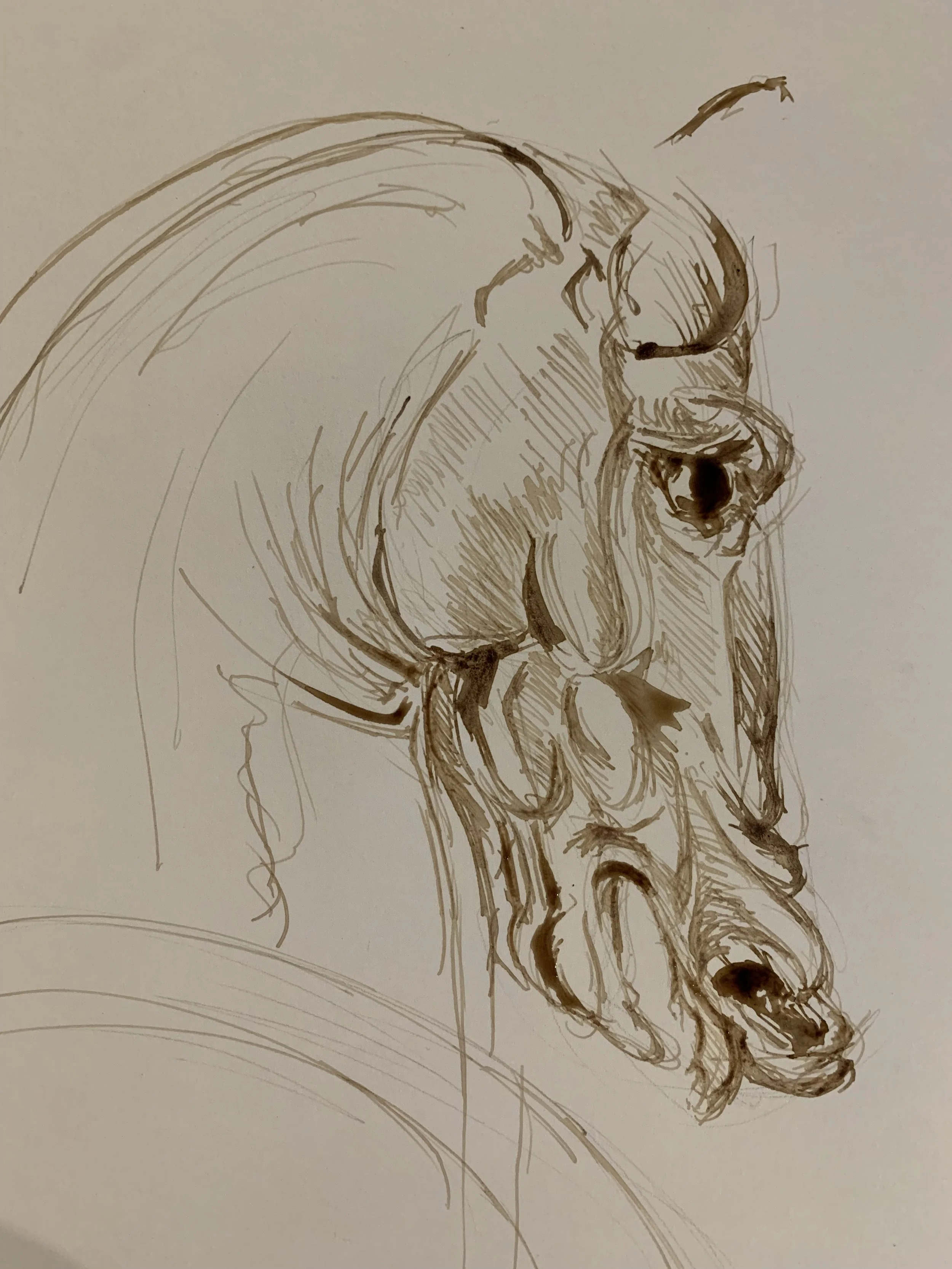 A Colourful Life - Principles of Drawing (online)