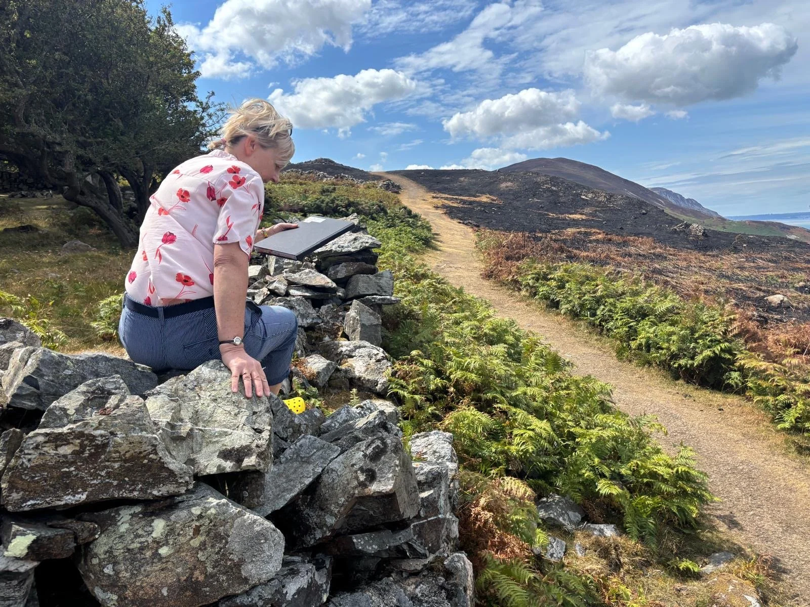 From Wildlife to Painting: Finding Beauty and Meaning in a Changing Landscape