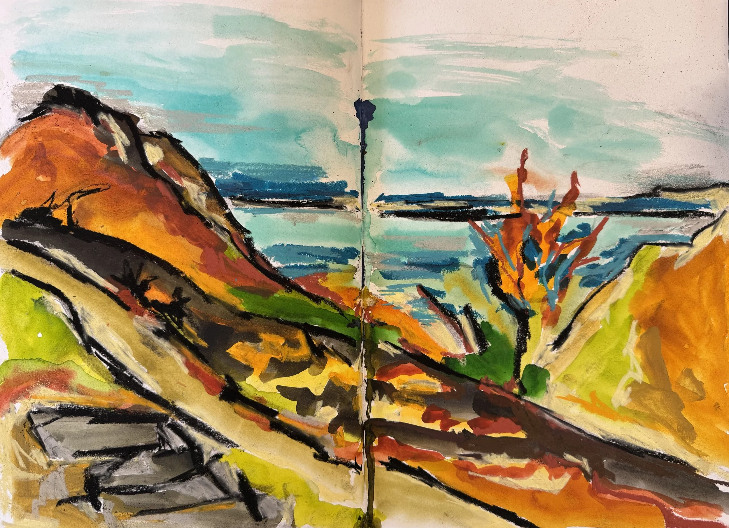 After the Wildfires: Finding Hope in a Changed Landscape