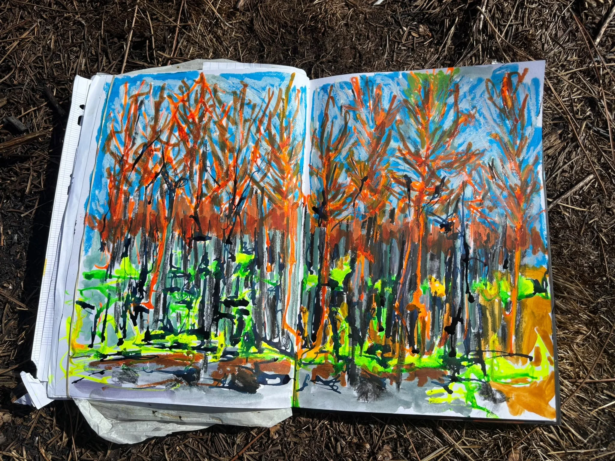 A Colourful Life: Painting Hope After the Bordeaux Wildfires