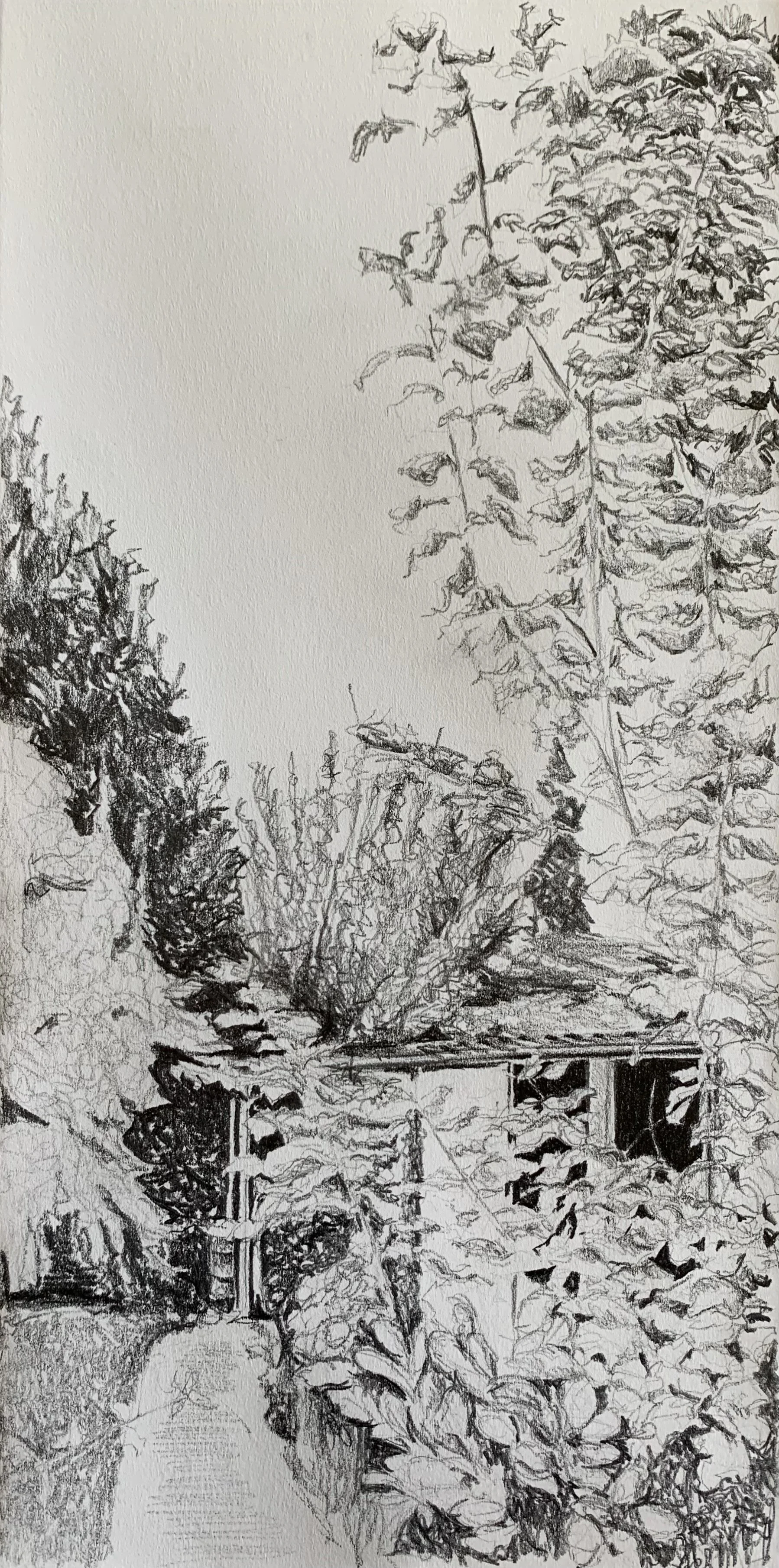 HELEN ALICE JOHNSON ARTIST_LANDSCAPE PAINTER_THE SECRET GARDEN PENCIL SKETCH_2021.jpg