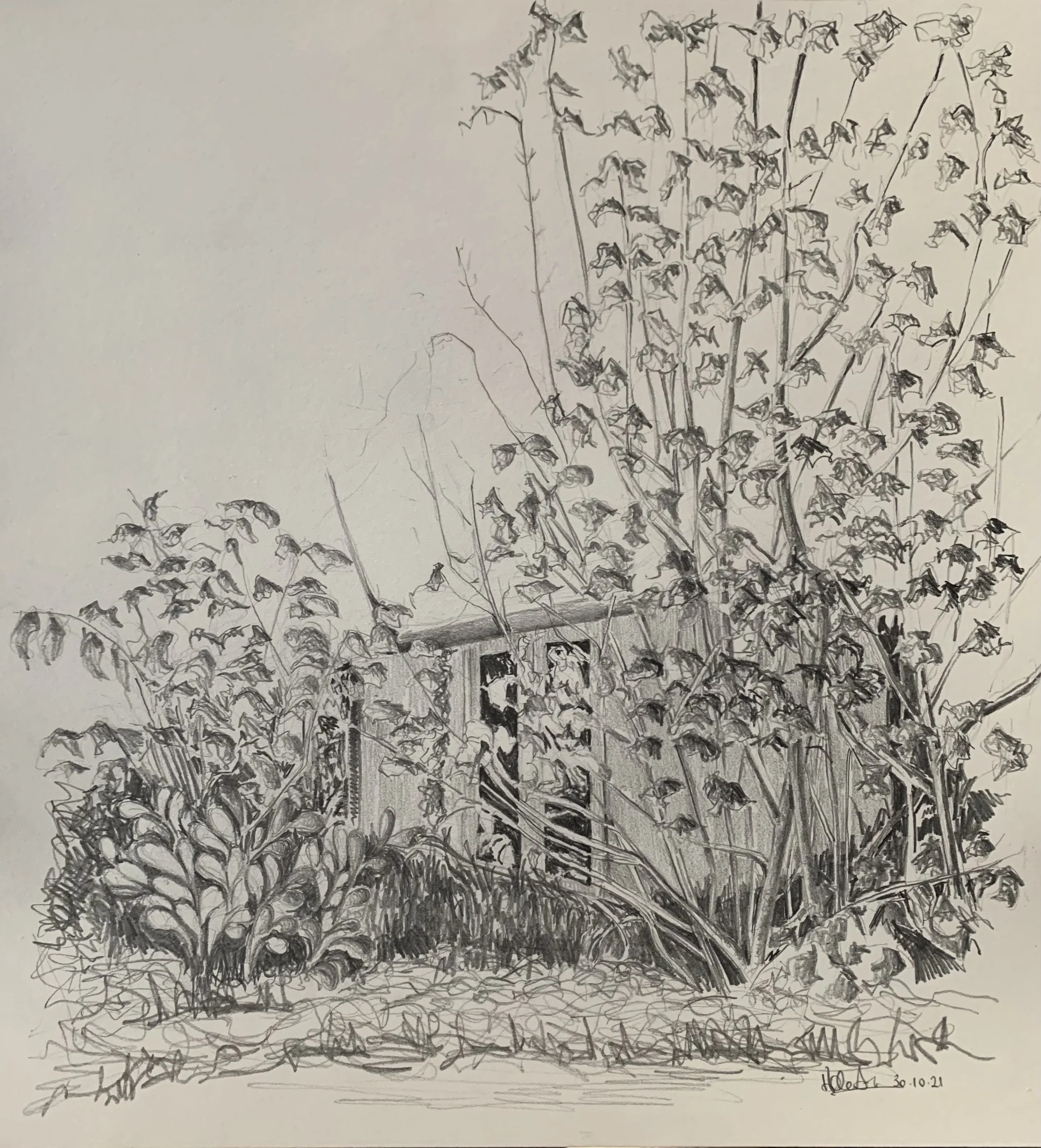 HELEN ALICE JOHNSON ARTIST_LANDSCAPE PAINTER_THE SUMMER HOUSE_2021.jpg