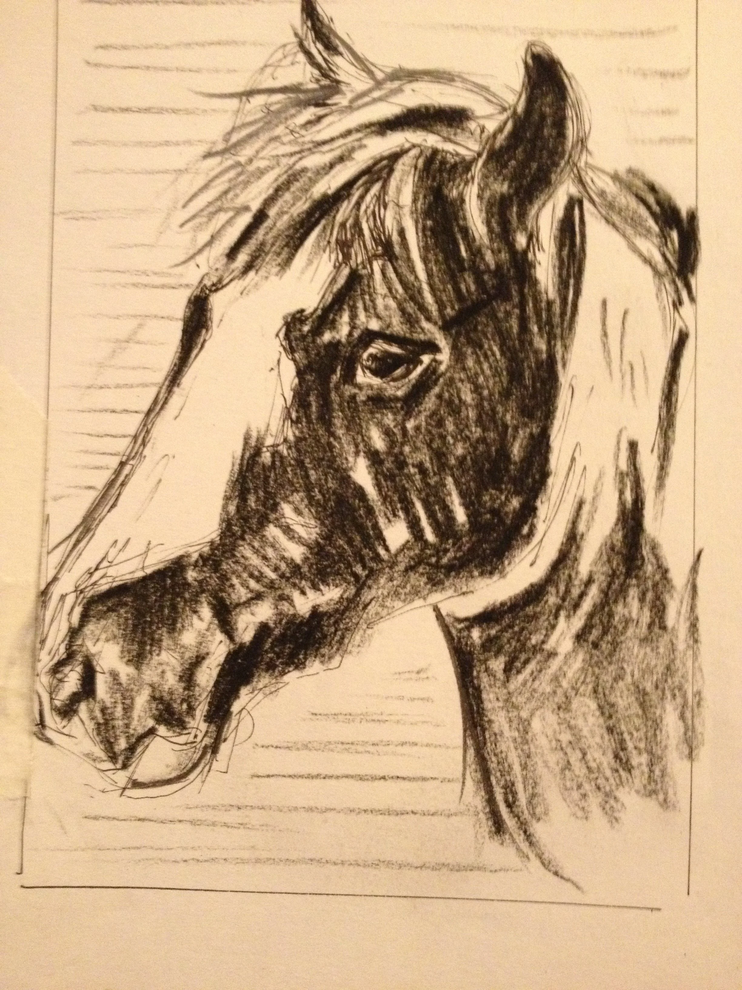 HELEN ALICE JOHNSON_ARTIST_ANIMAL PAINTER_STRIDER SIDE_2018.JPG