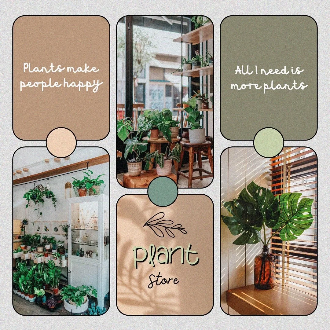 #moodboardmonday plant store 🌿

#moodboard #moodboards #moodboardaccount #moodboardaesthetic #moodboardmondaychallenge #moodboarding #moodboarddesign #moodboardpage #moodboardacc #moodboardsaesthetic #moodboardinspo #moodboardcommunity #moodboardaes