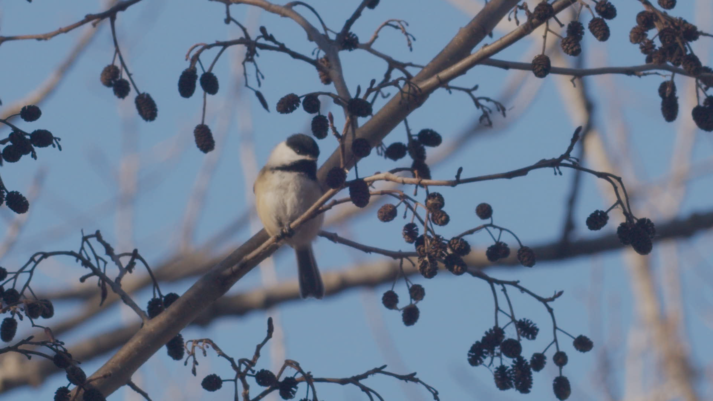 0 BLOG SCRATCH.00_00_00_01.Still002.png