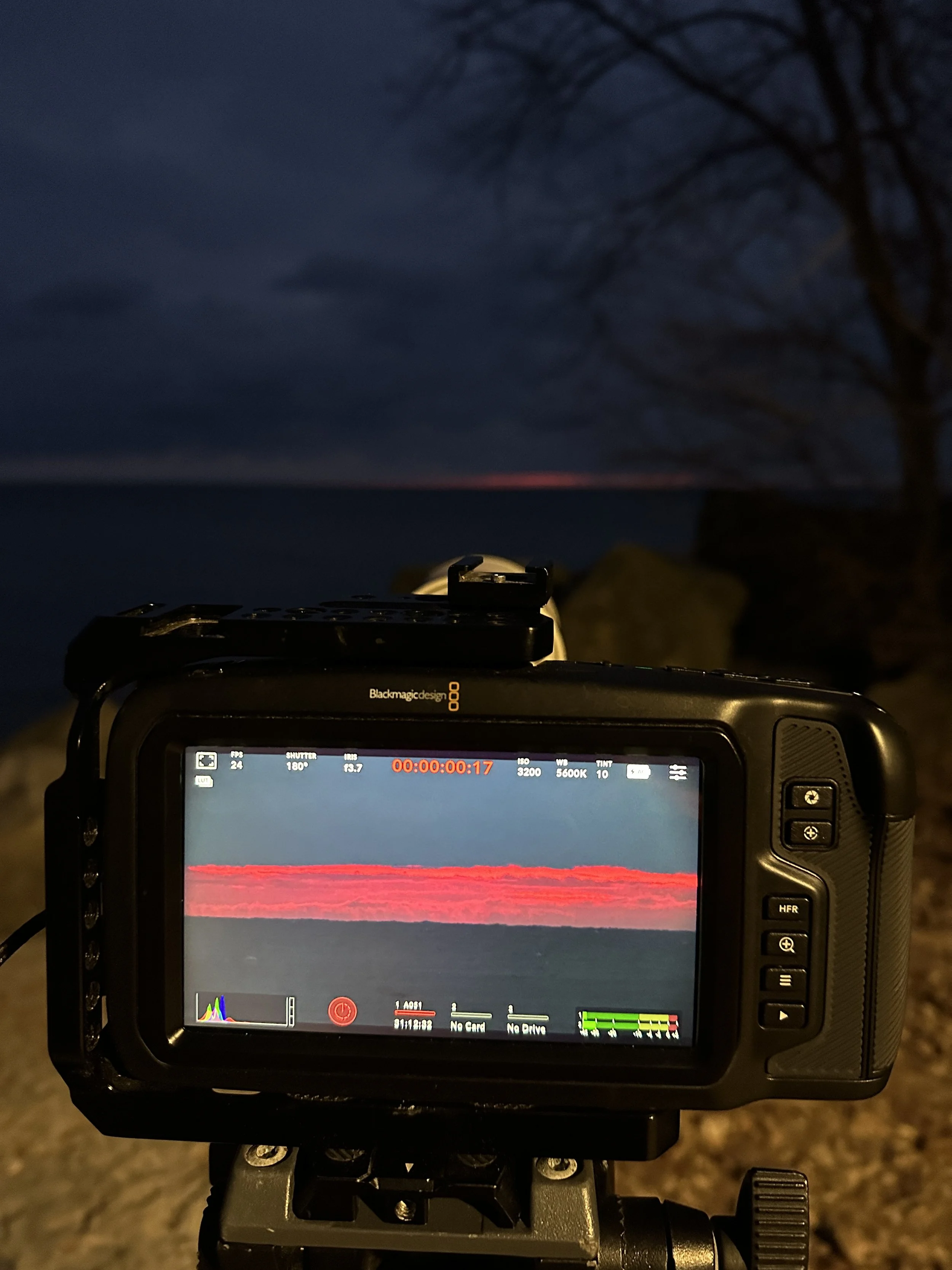 Morning at Ashbridges Bay
