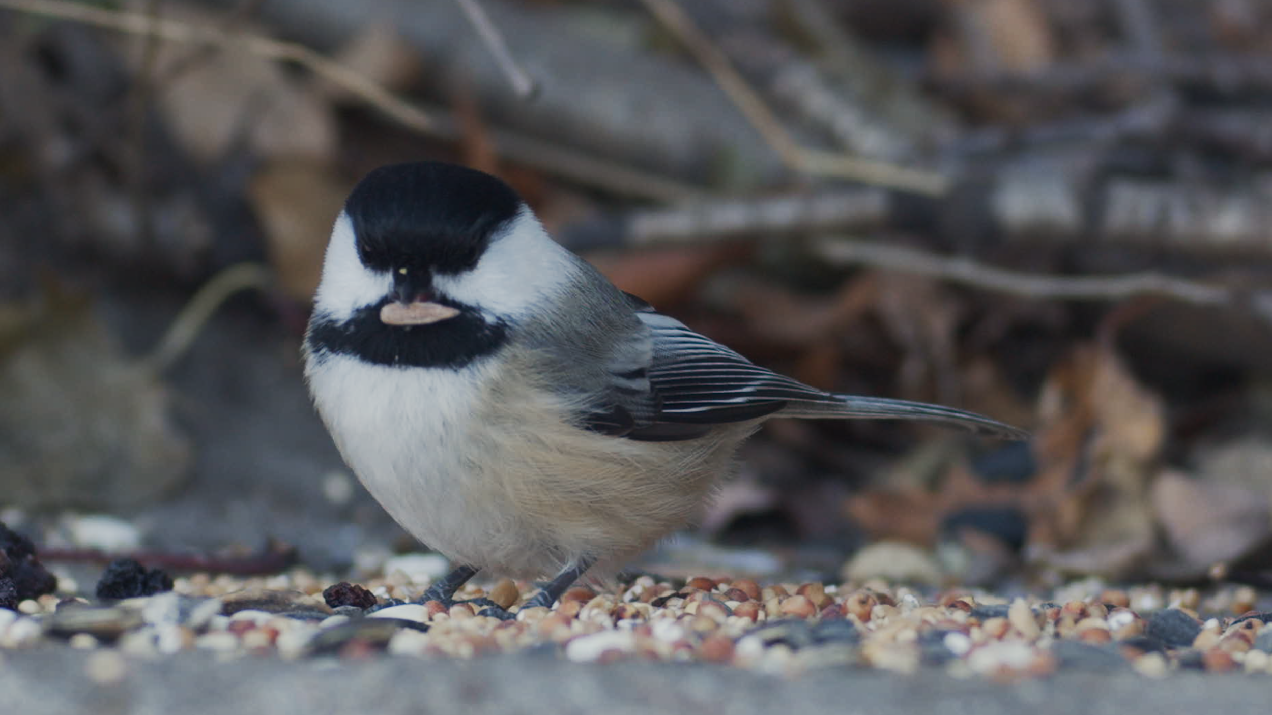 Editing has Started!