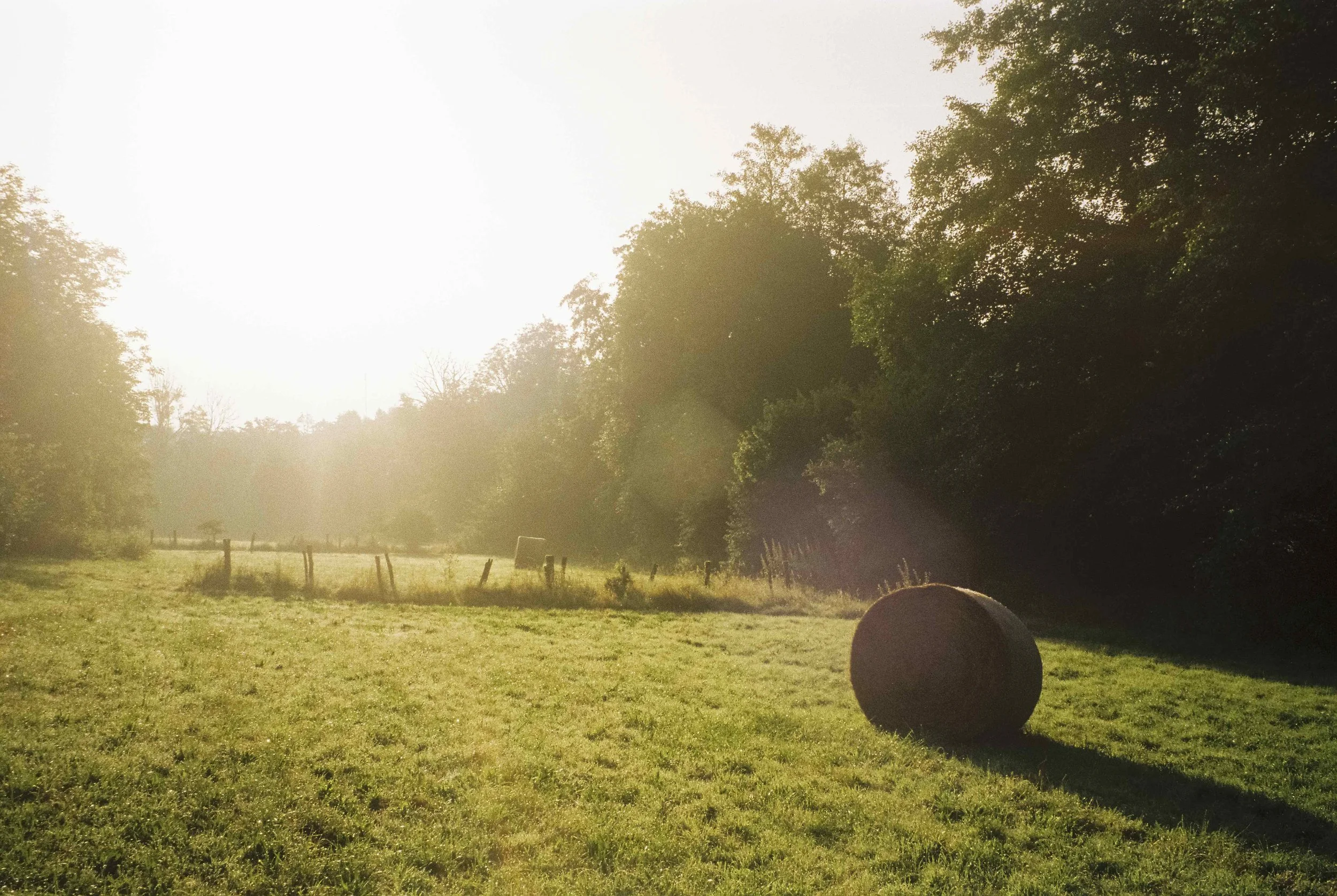 0873_09.jpeg