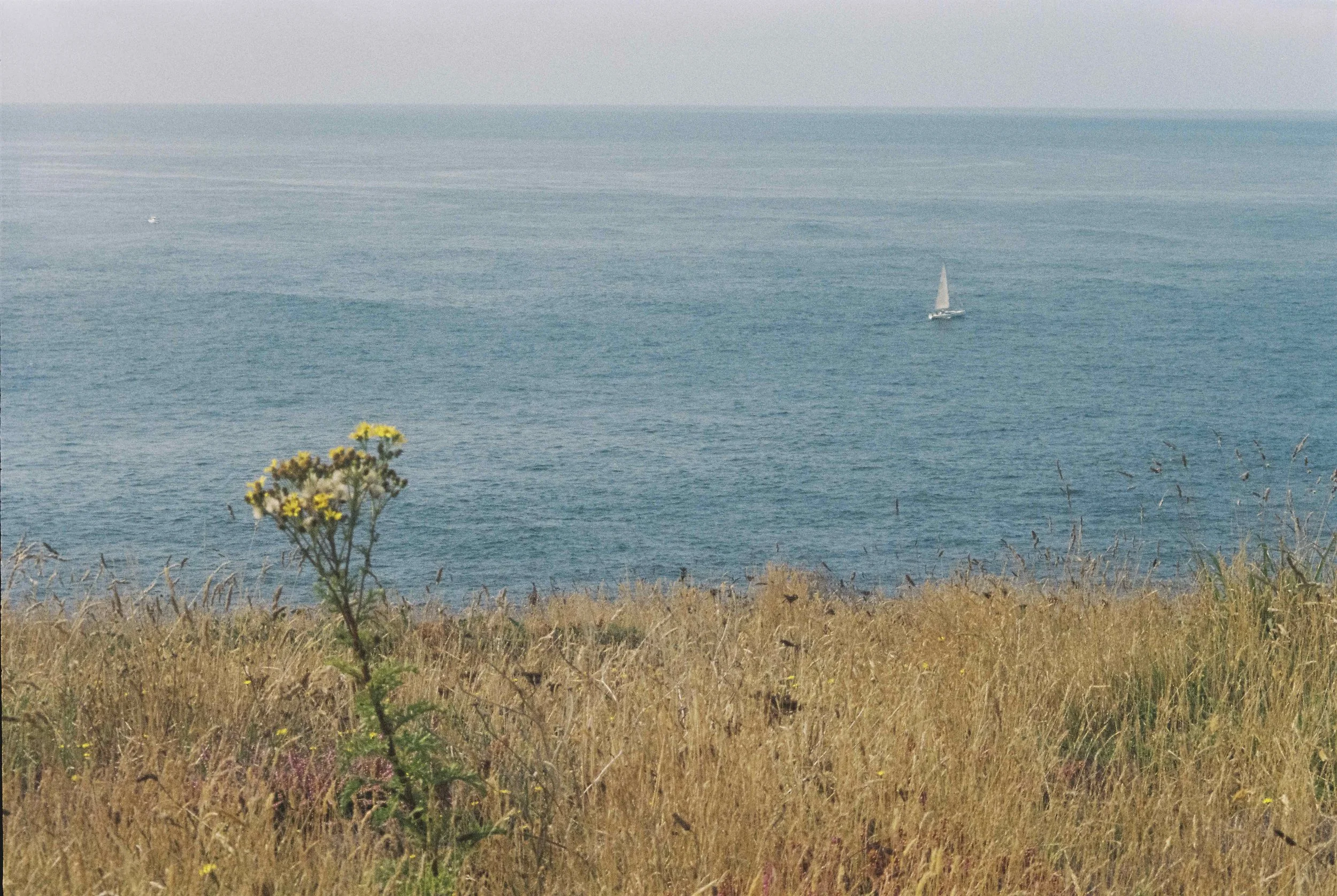 0874_16.jpeg