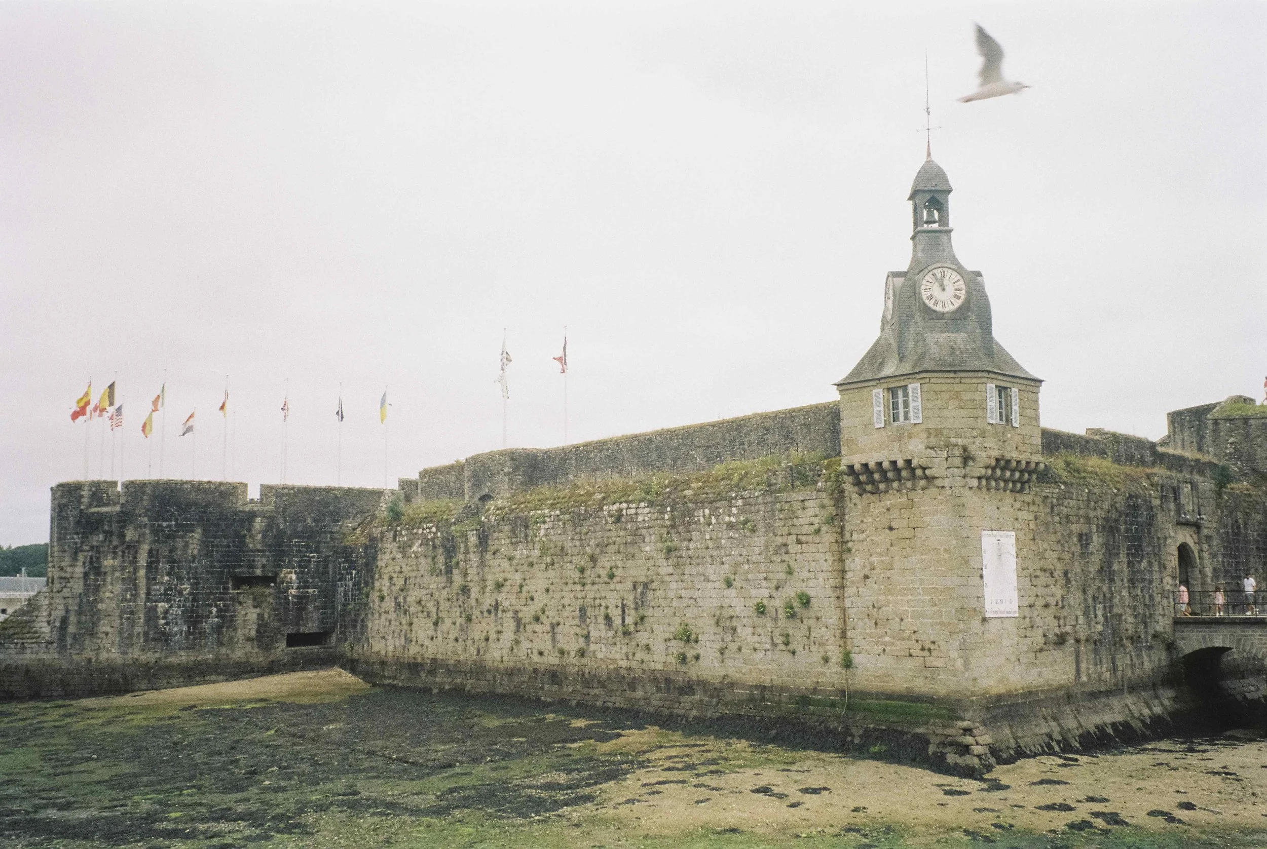 0874_24.jpeg