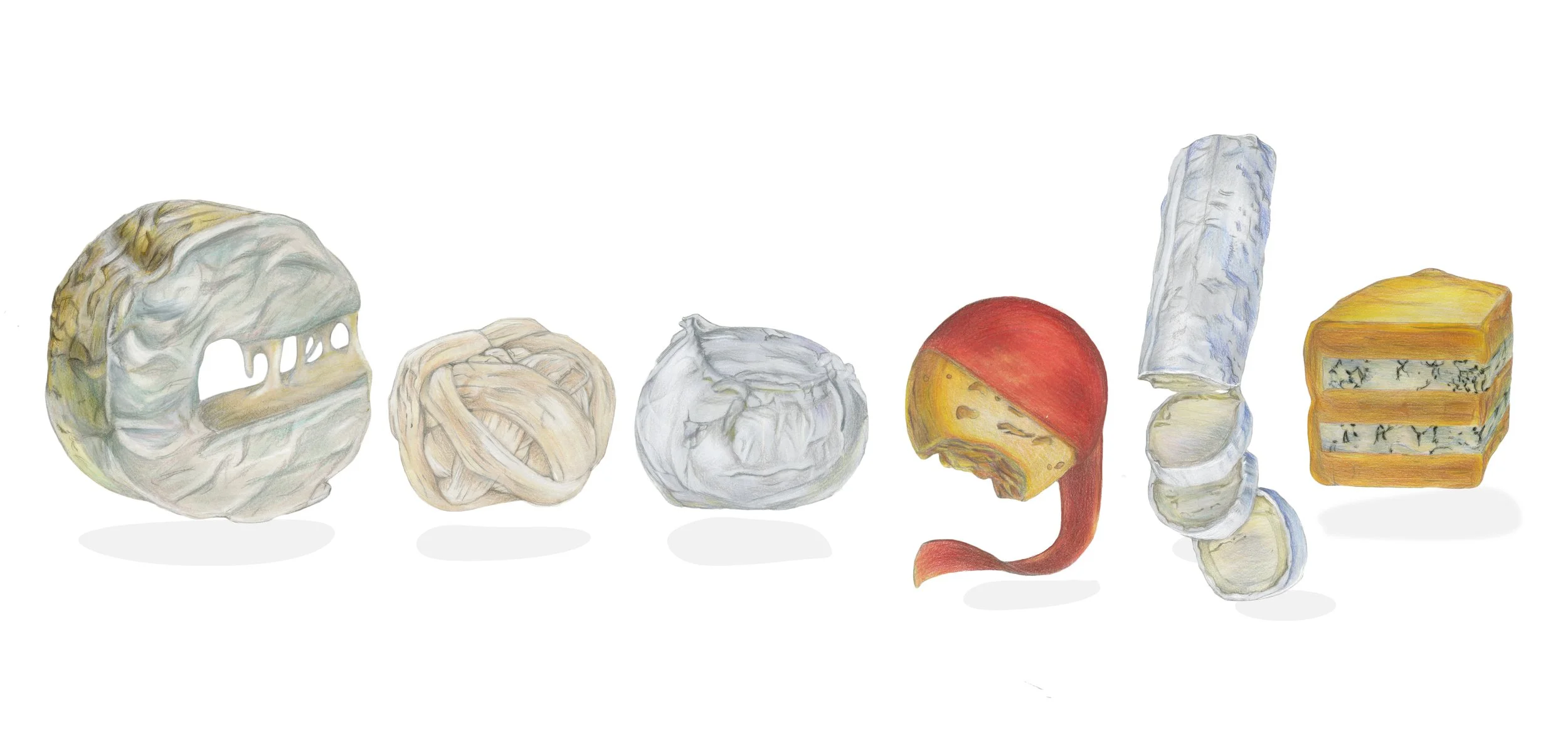 Digital Illustration - Colored pencil, Adobe Photoshop