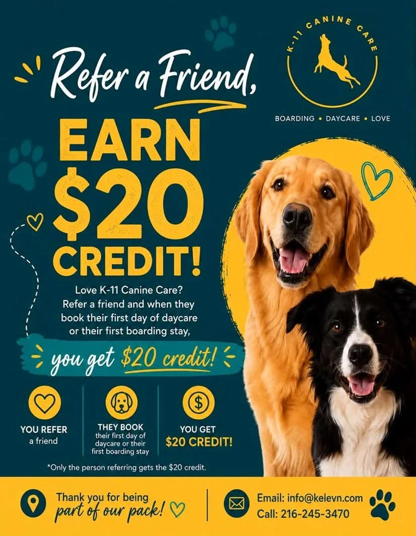 🐾 REFER A FRIEND &amp; EARN a $20 CREDIT! 🐾

Love K-11 Canine Care? Share the love with your friends and get rewarded!

When you refer a friend and they complete their first day of daycare or their first boarding stay, you&rsquo;ll receive a $20 cr