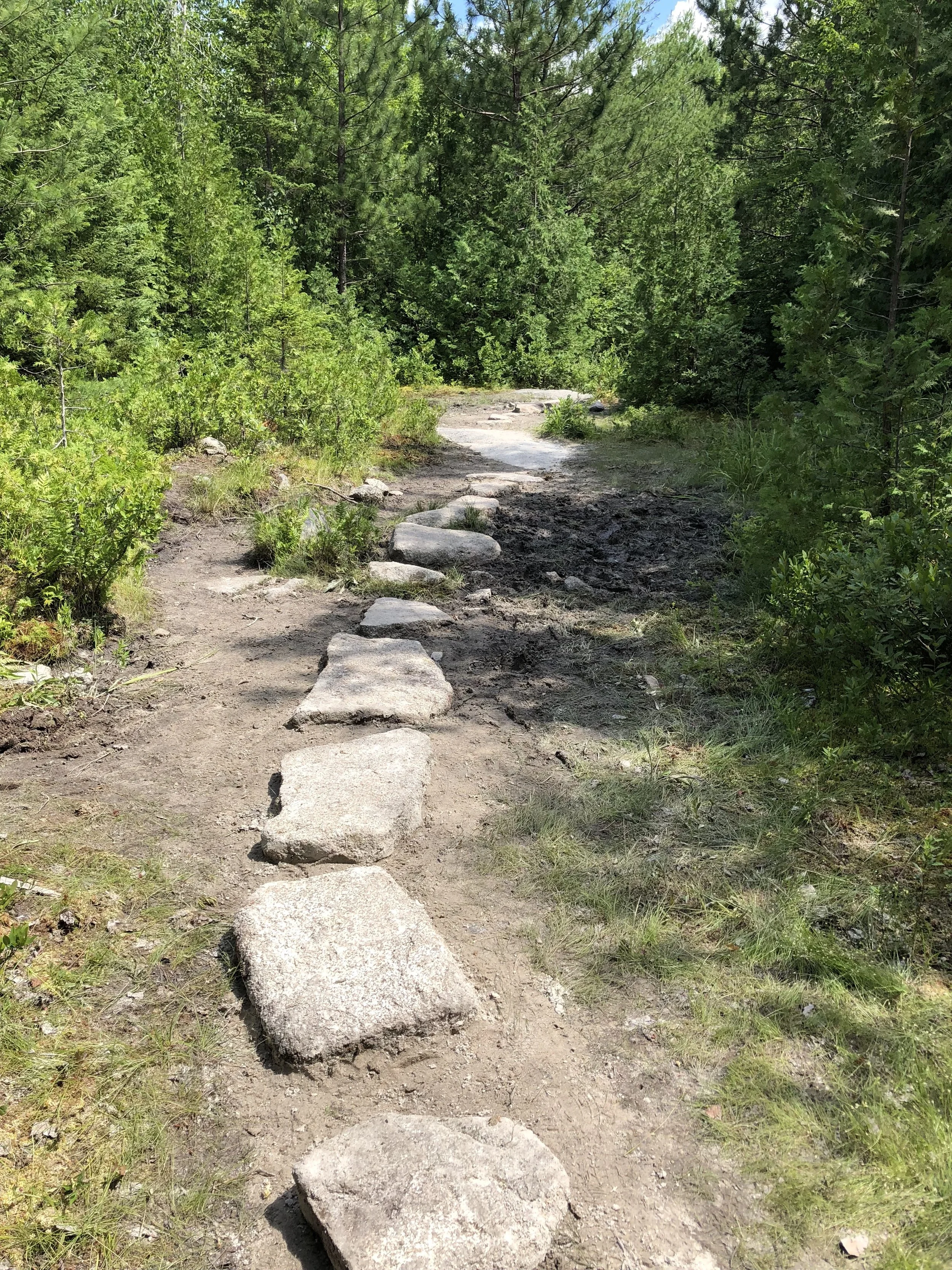 Blueberry Ledges 2018