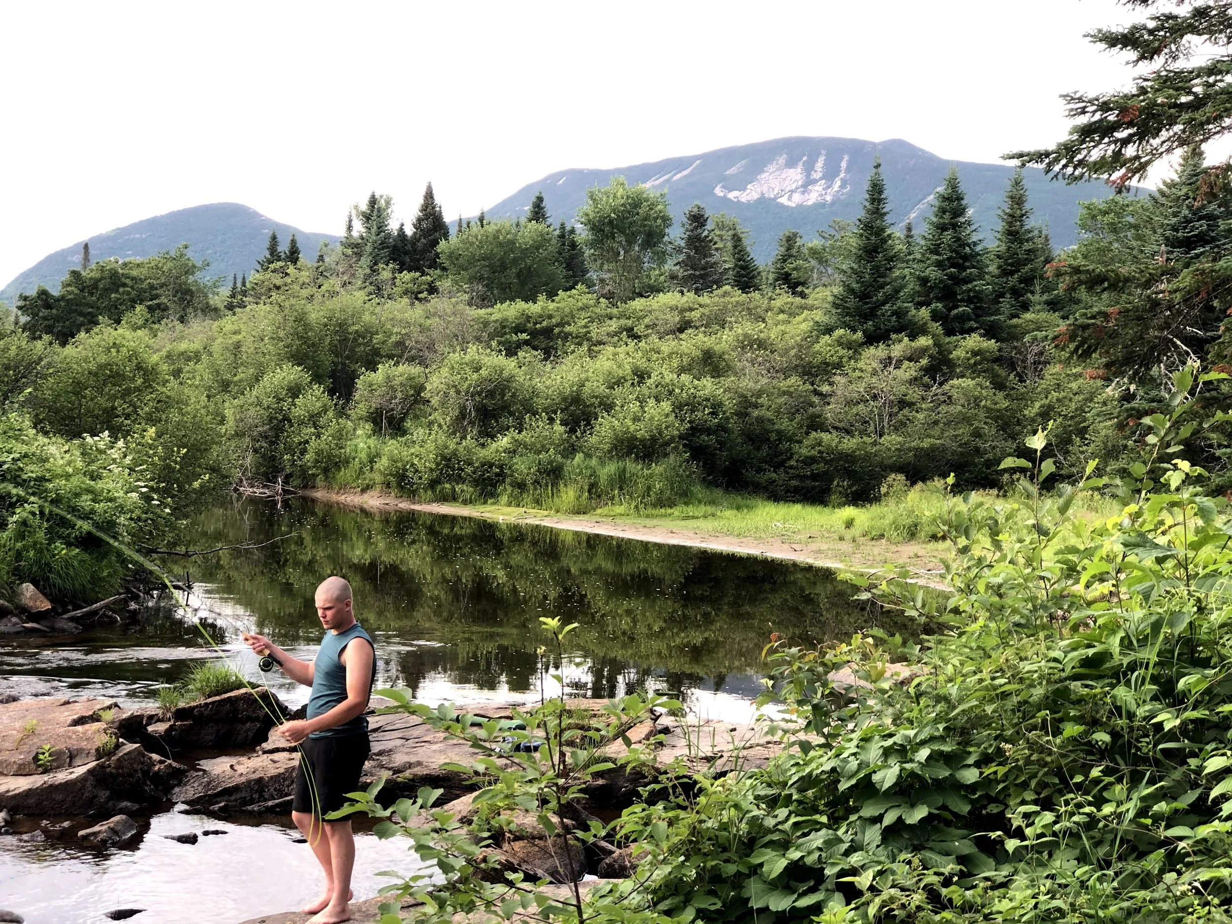 Nesowadnehunk Stream 2020