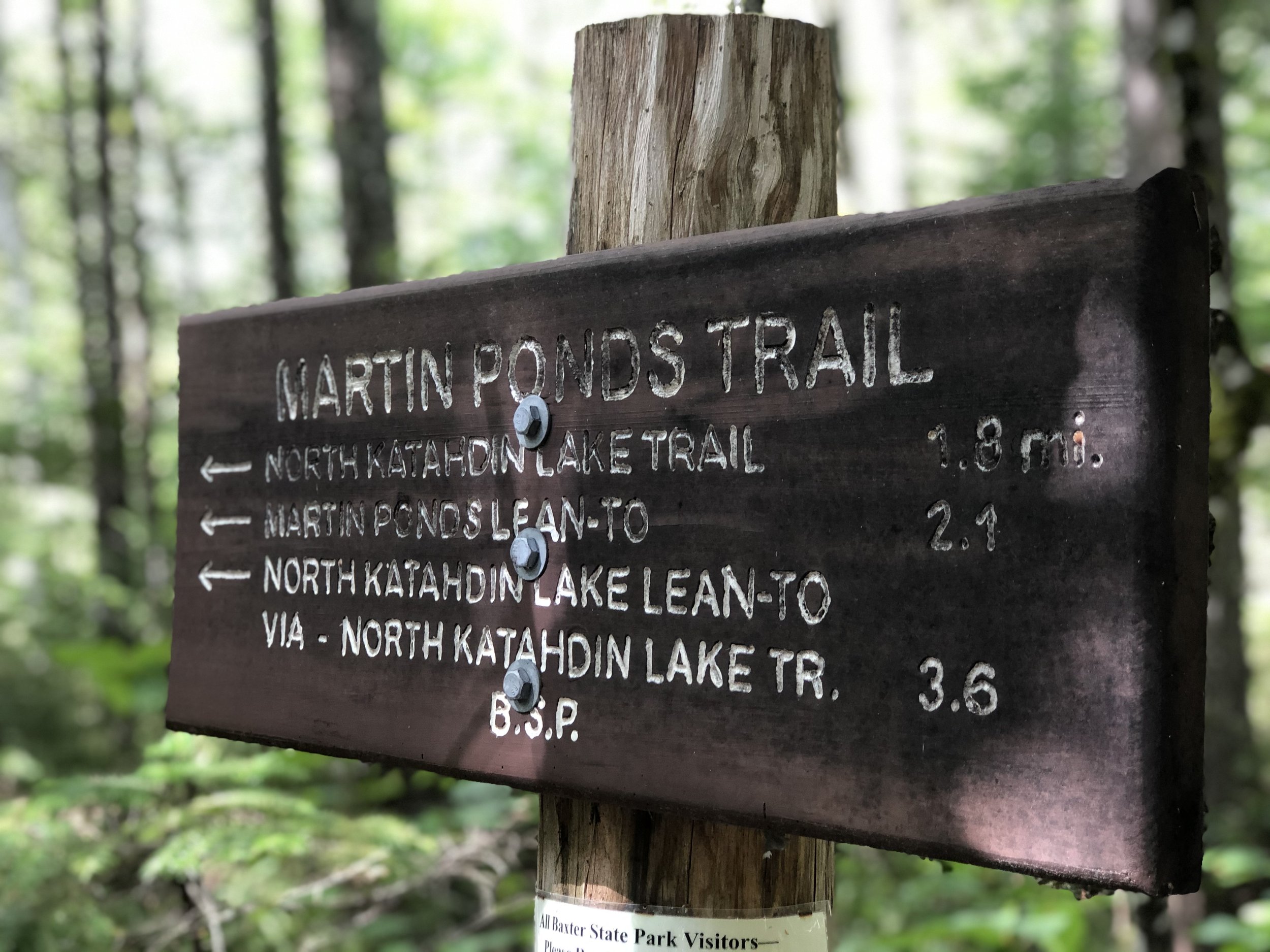 Martin Ponds Trail 2021