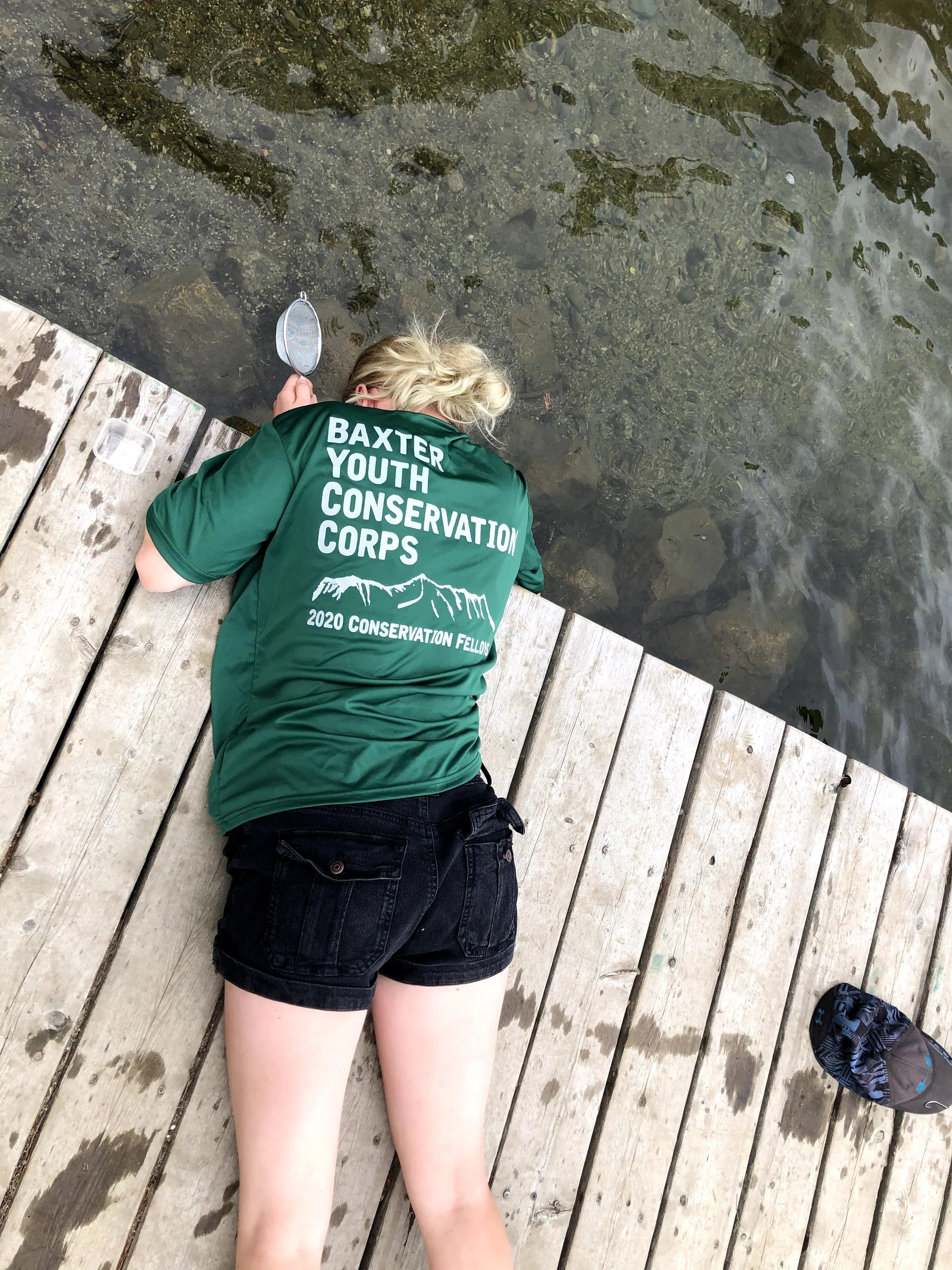 Searching for Bugs at Kidney 2020