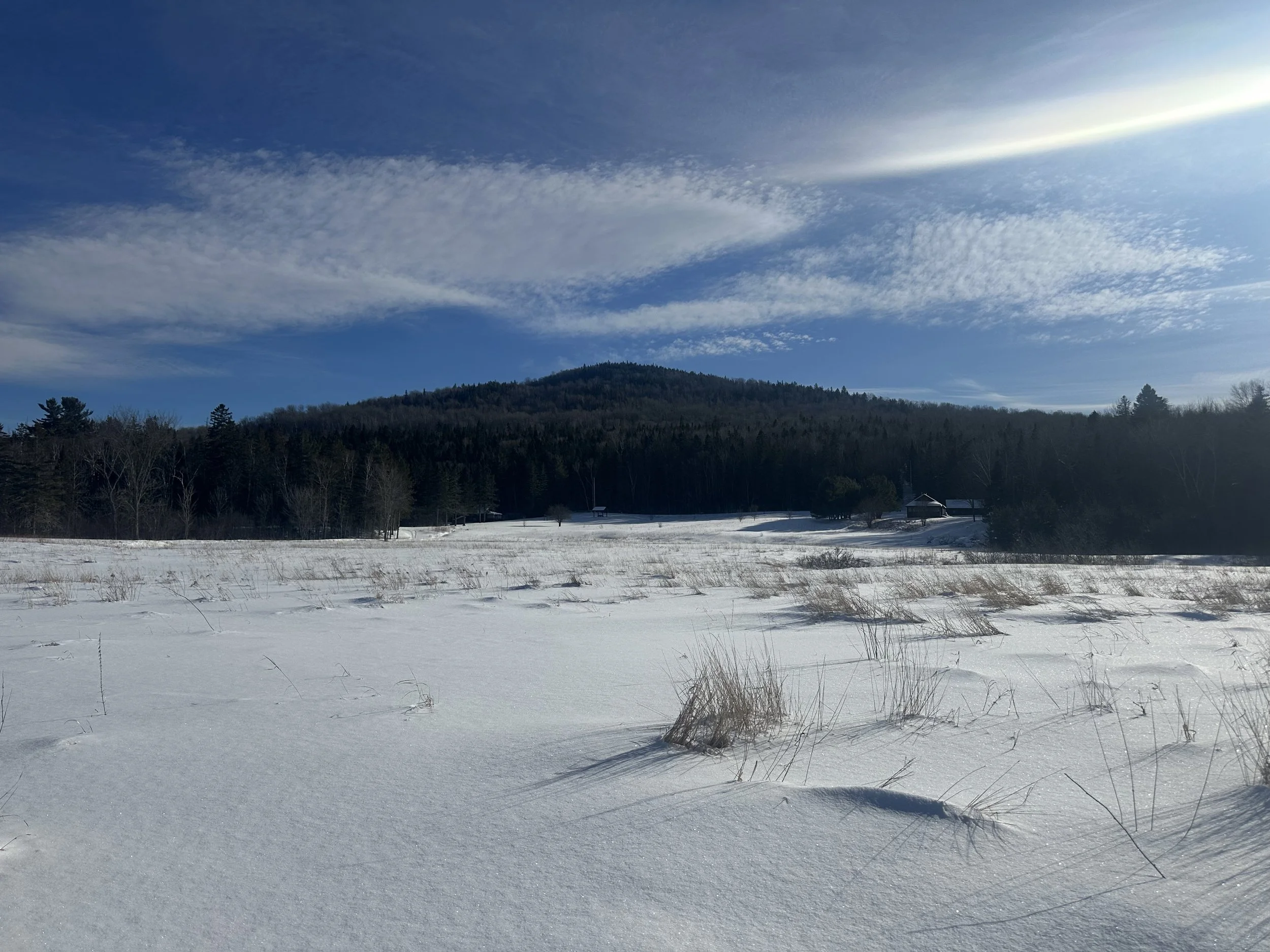 Trout Brook Campground.jpg