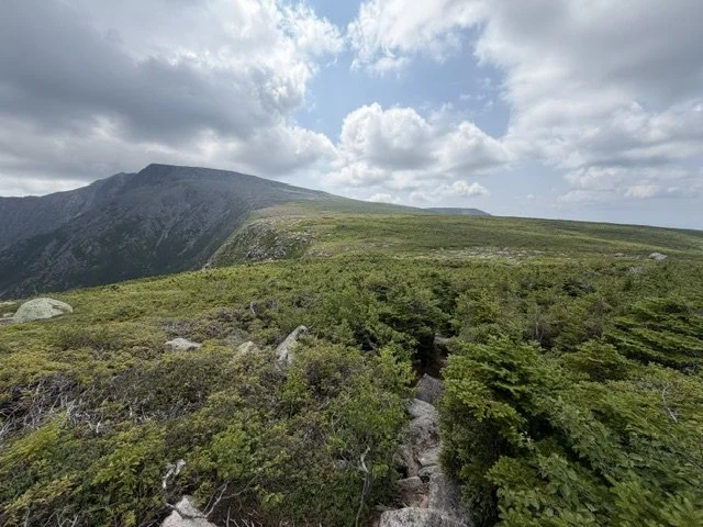 image6.jpeg