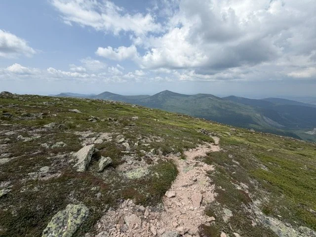 image11.jpeg