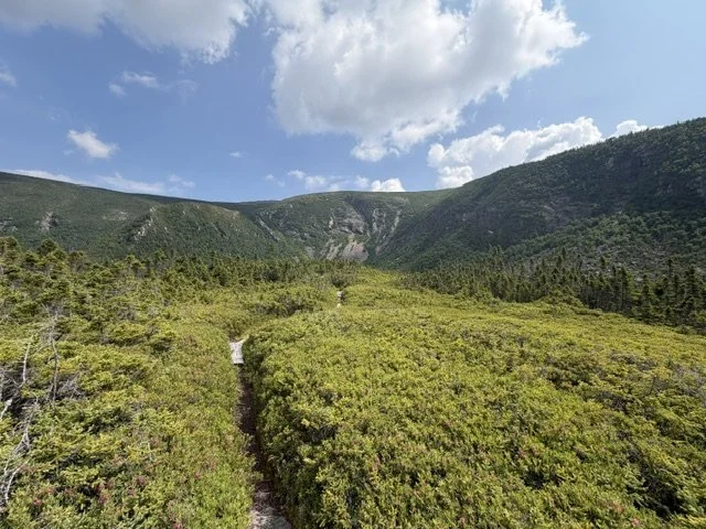 image16.jpeg