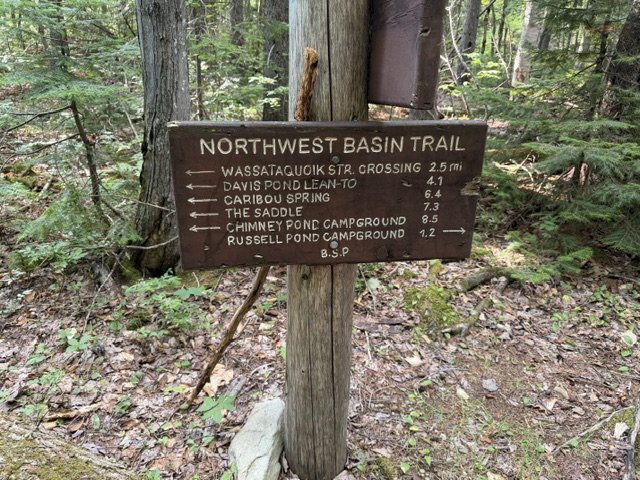 image18.jpeg