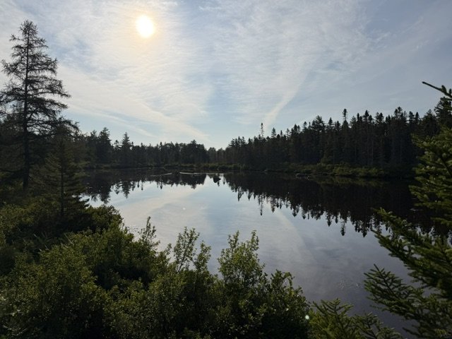 image23.jpeg