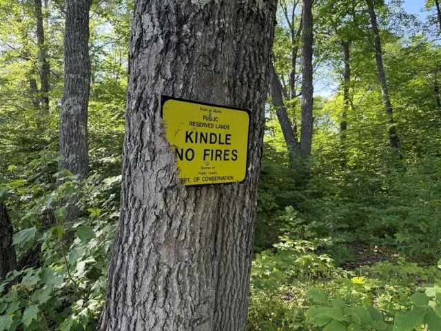 image42.jpeg