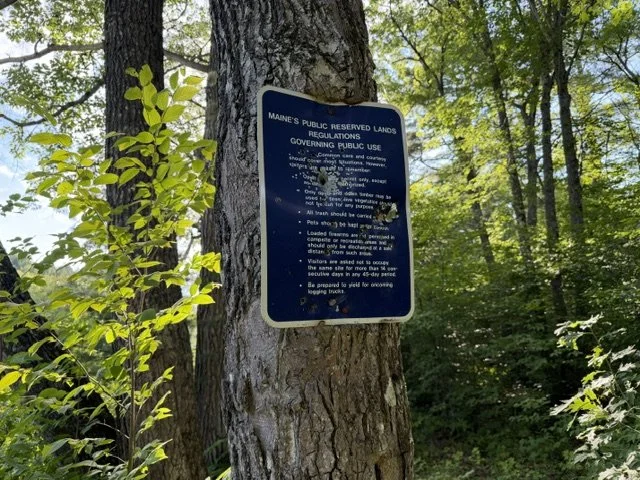 image43.jpeg