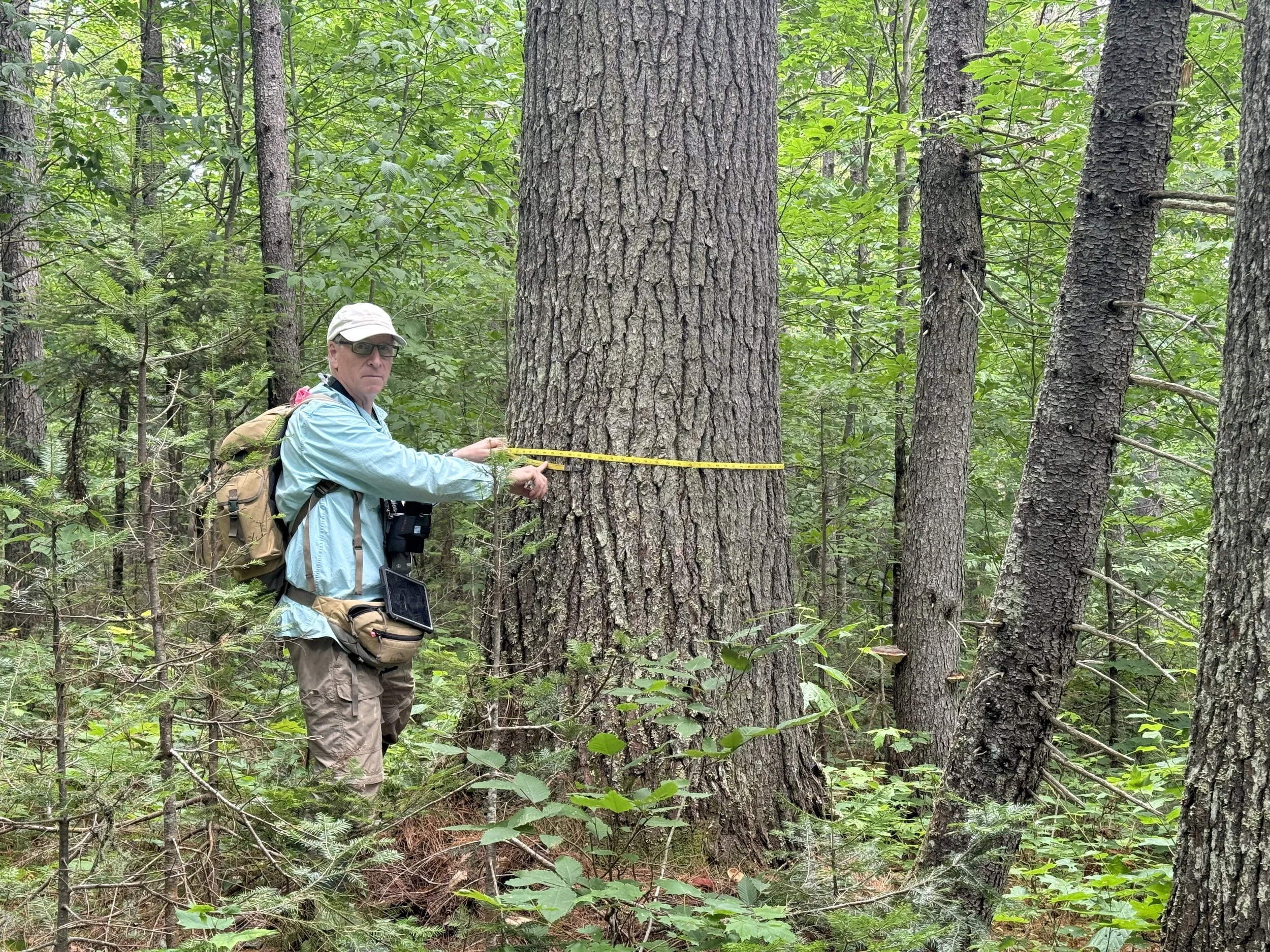 John Hagan on LiDAR and Maine’s Old Growth Forests