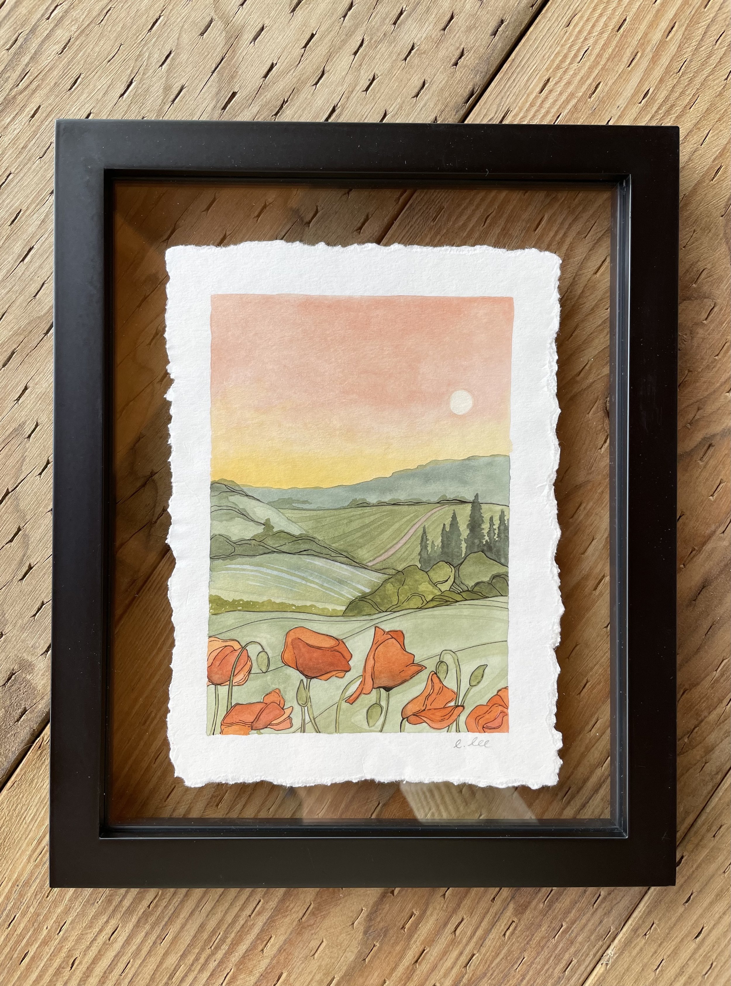 Tuscan Poppies