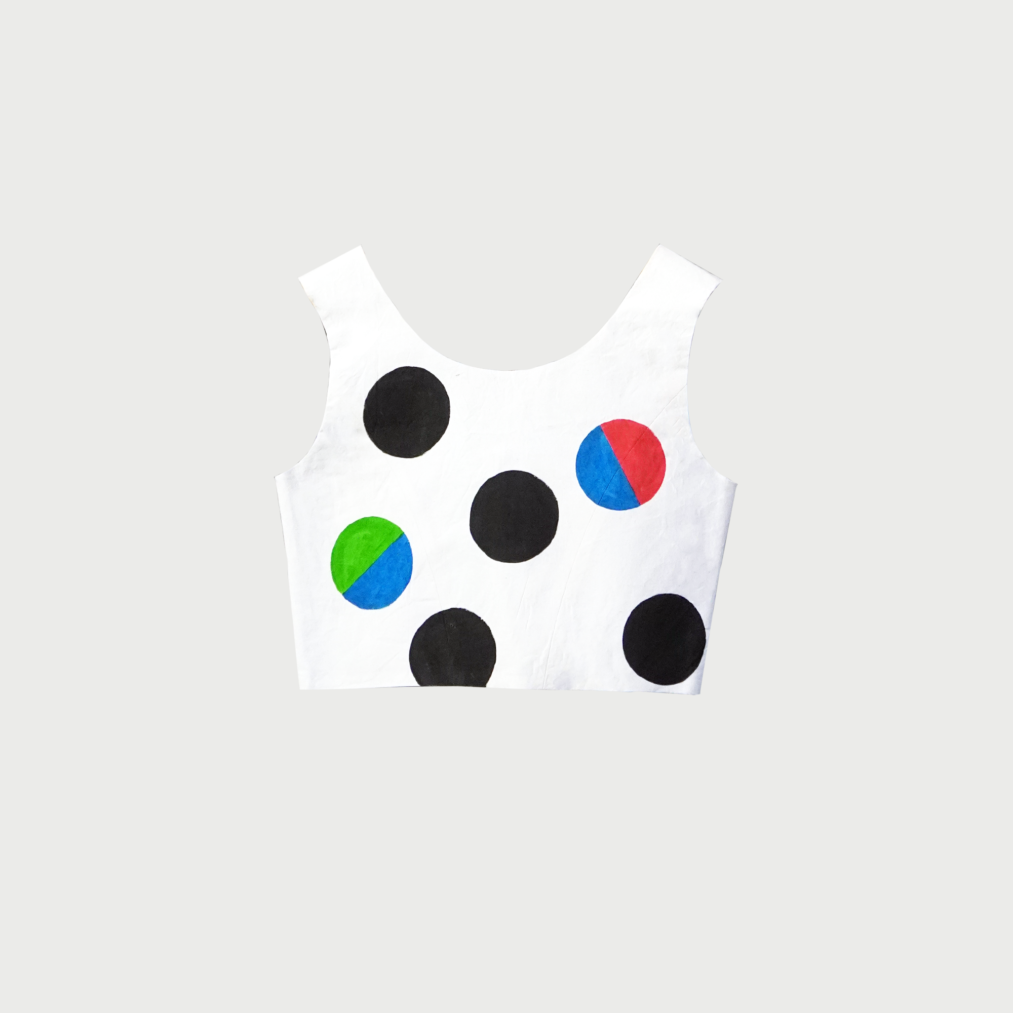 POIS BICOLOR back.png