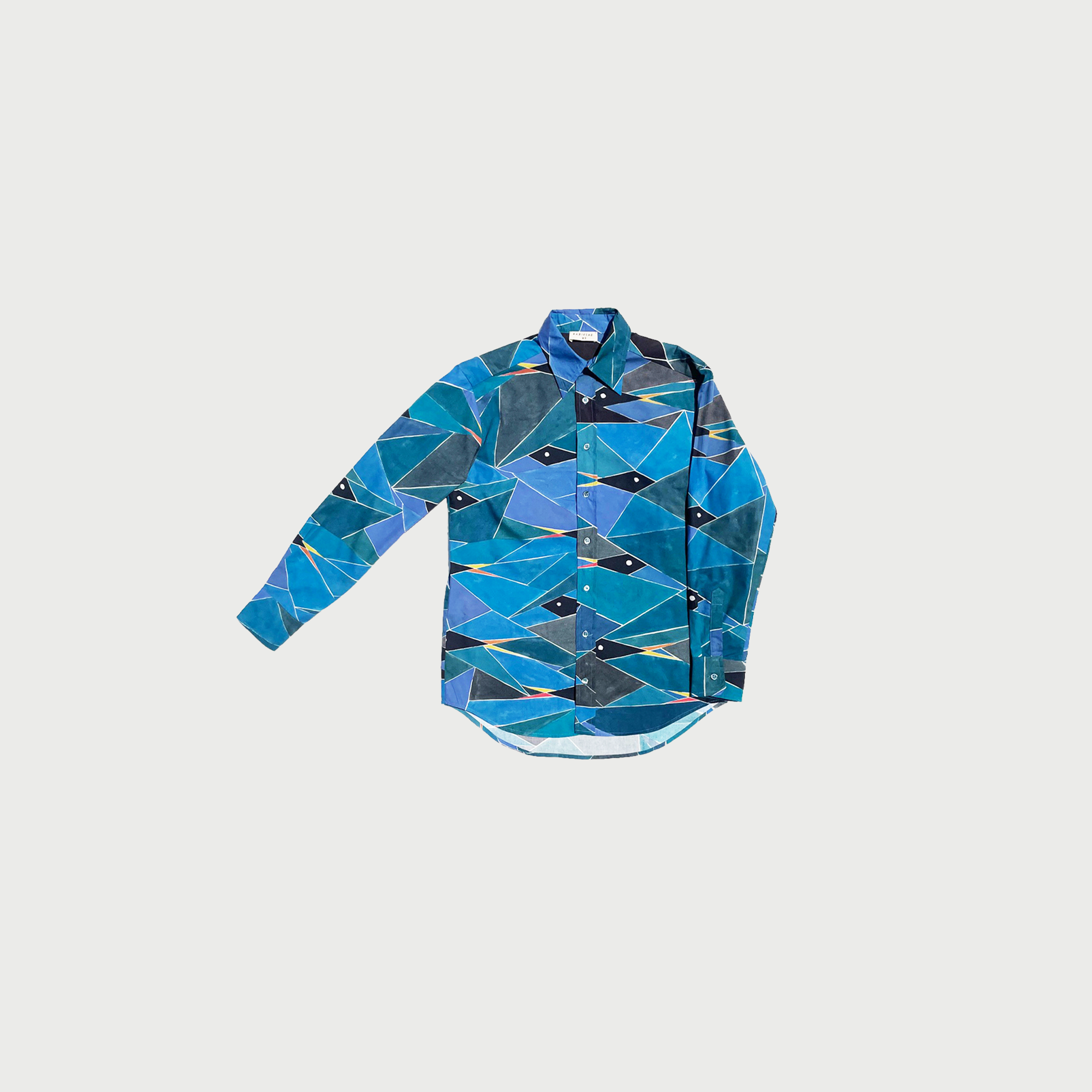 Fish Blue / Printed / Poplin cotton shirt