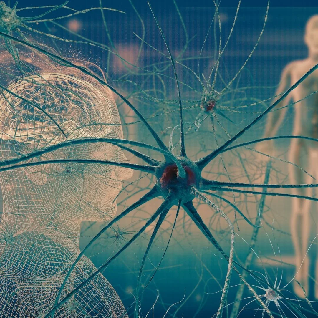 Resonanz in der Aufstellungsarbeit: Ein vielschichtiger Weg zur Heilung