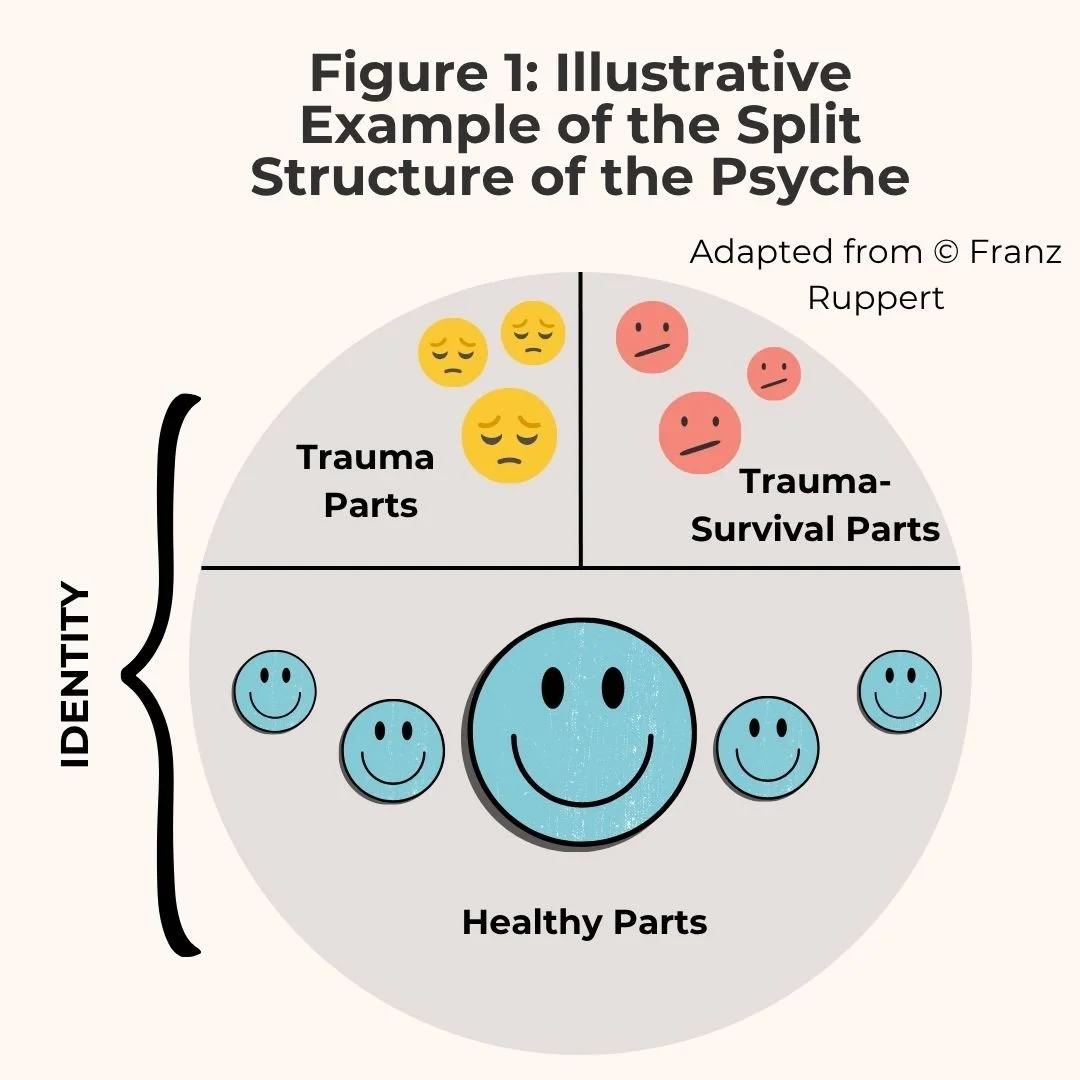 Figure 1.jpg