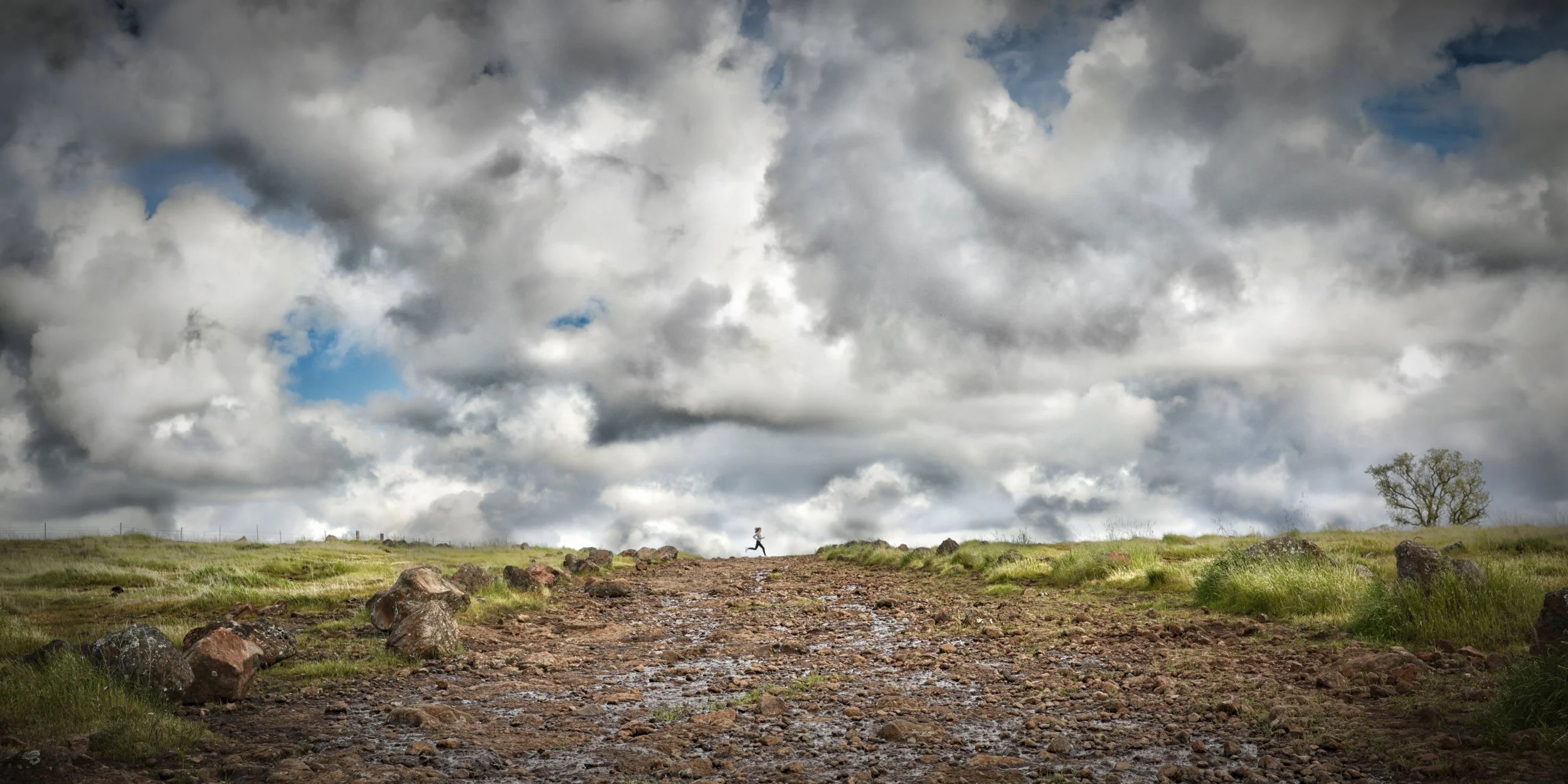 After The Rain.jpg