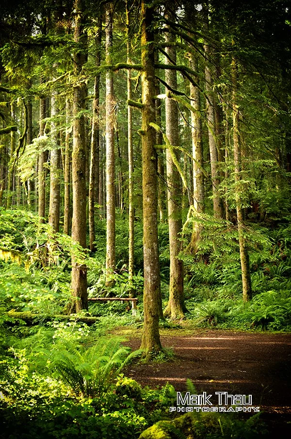 Olympic National Park with free LOGO.jpg