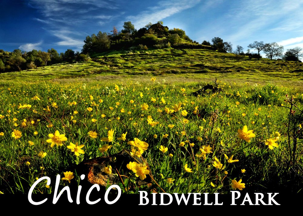 Chico Bidwell Park Magnet Made in Chico.jpg