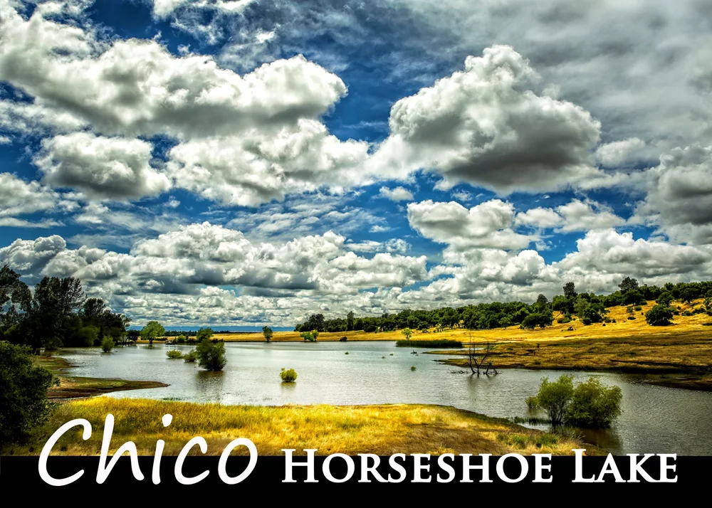 Chico Horseshoe Lake Magnet Made in Chico.jpg