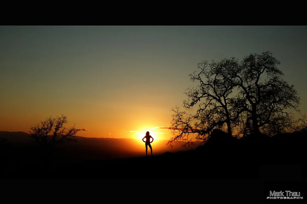 Last Light in Upper Park CROP.jpg