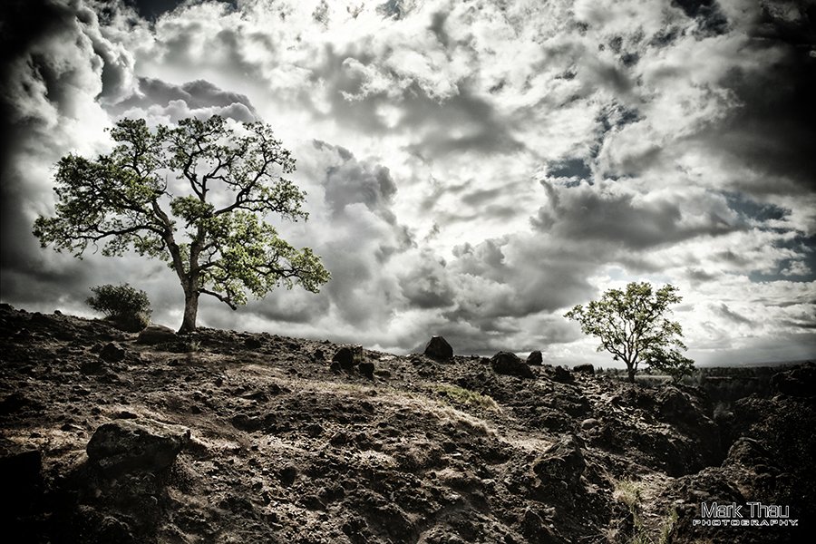 Storm Break on Monkey Face