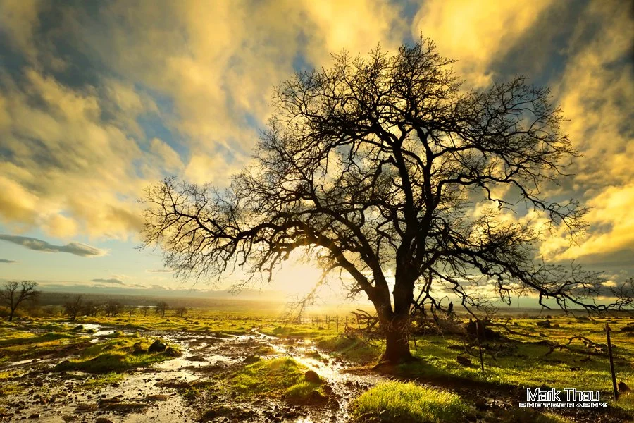 Golden Storm Break on North Rim