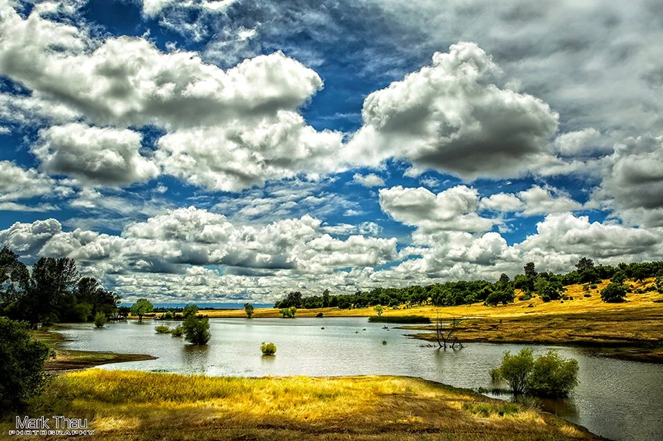 Early Summer at Horseshoe Lake